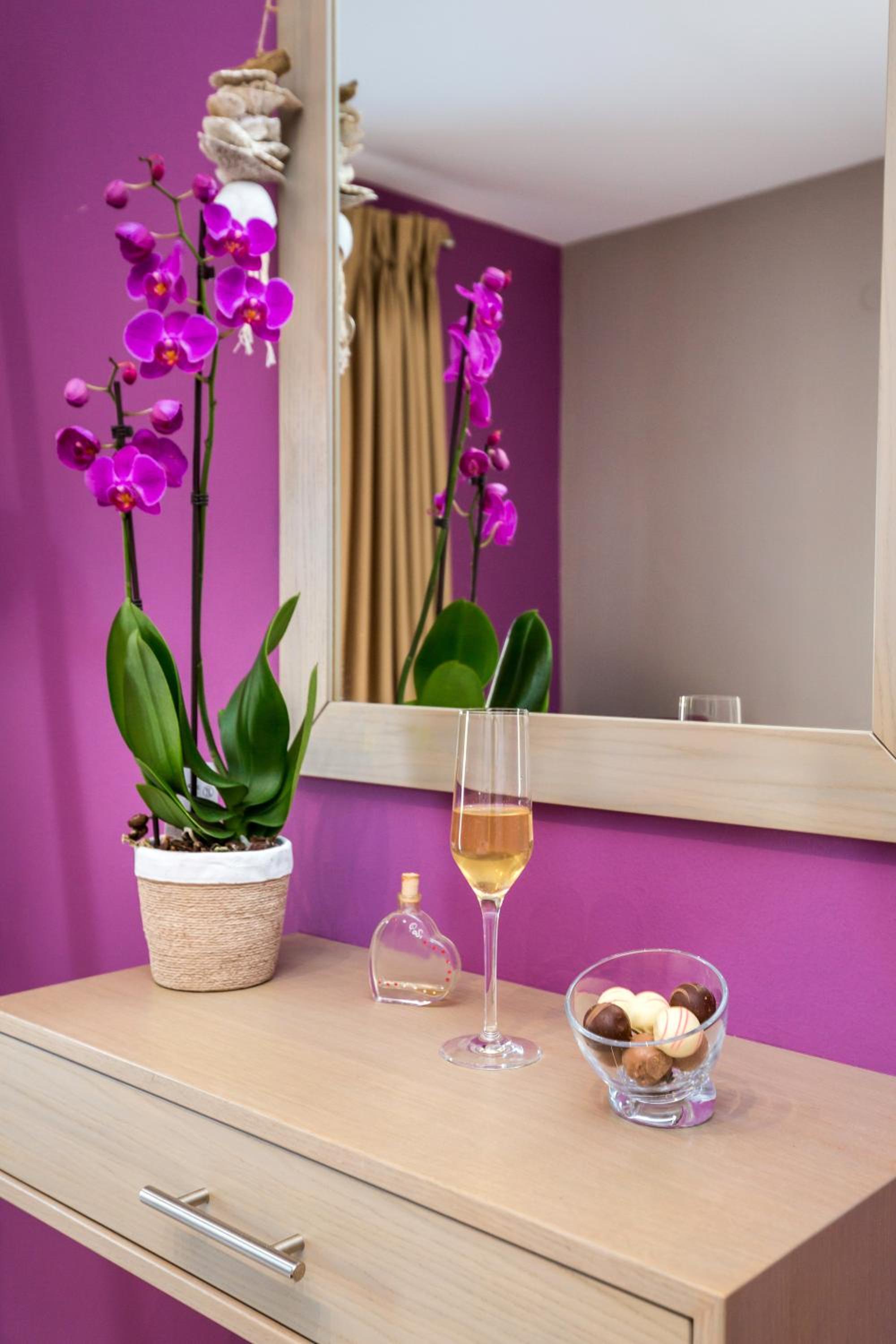 Studio Apartment photo 2