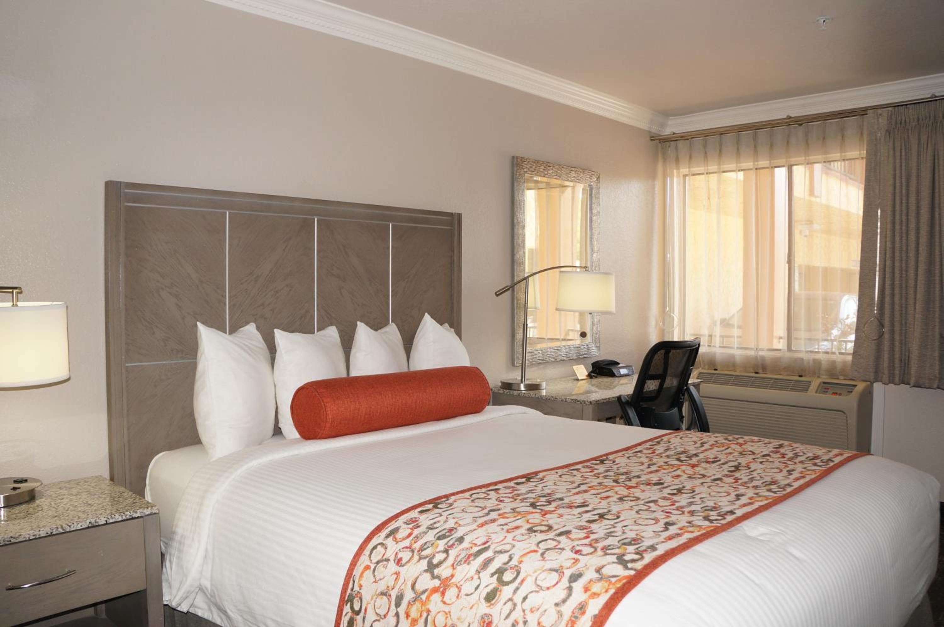 1 King Bed Non Smoking photo 1