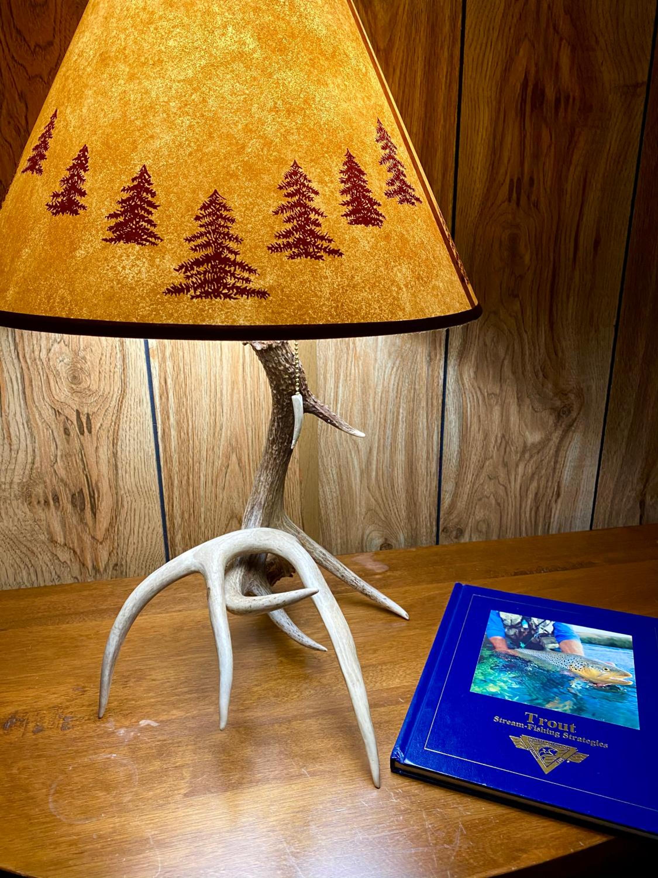 Two-Bedroom Apartment photo 3