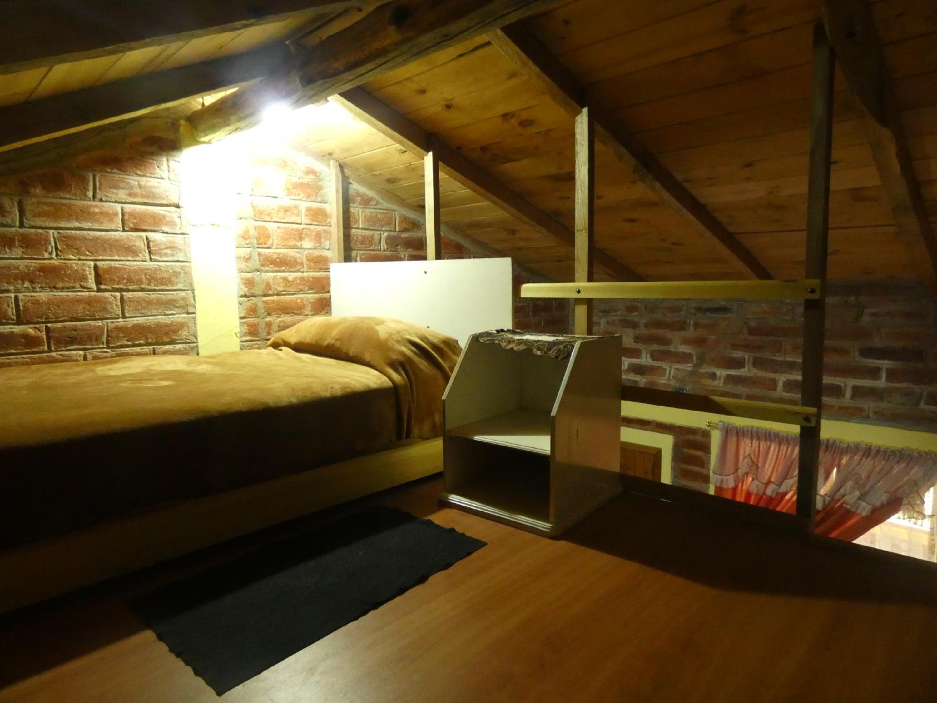 Single Bed in Mixed Dormitory Room