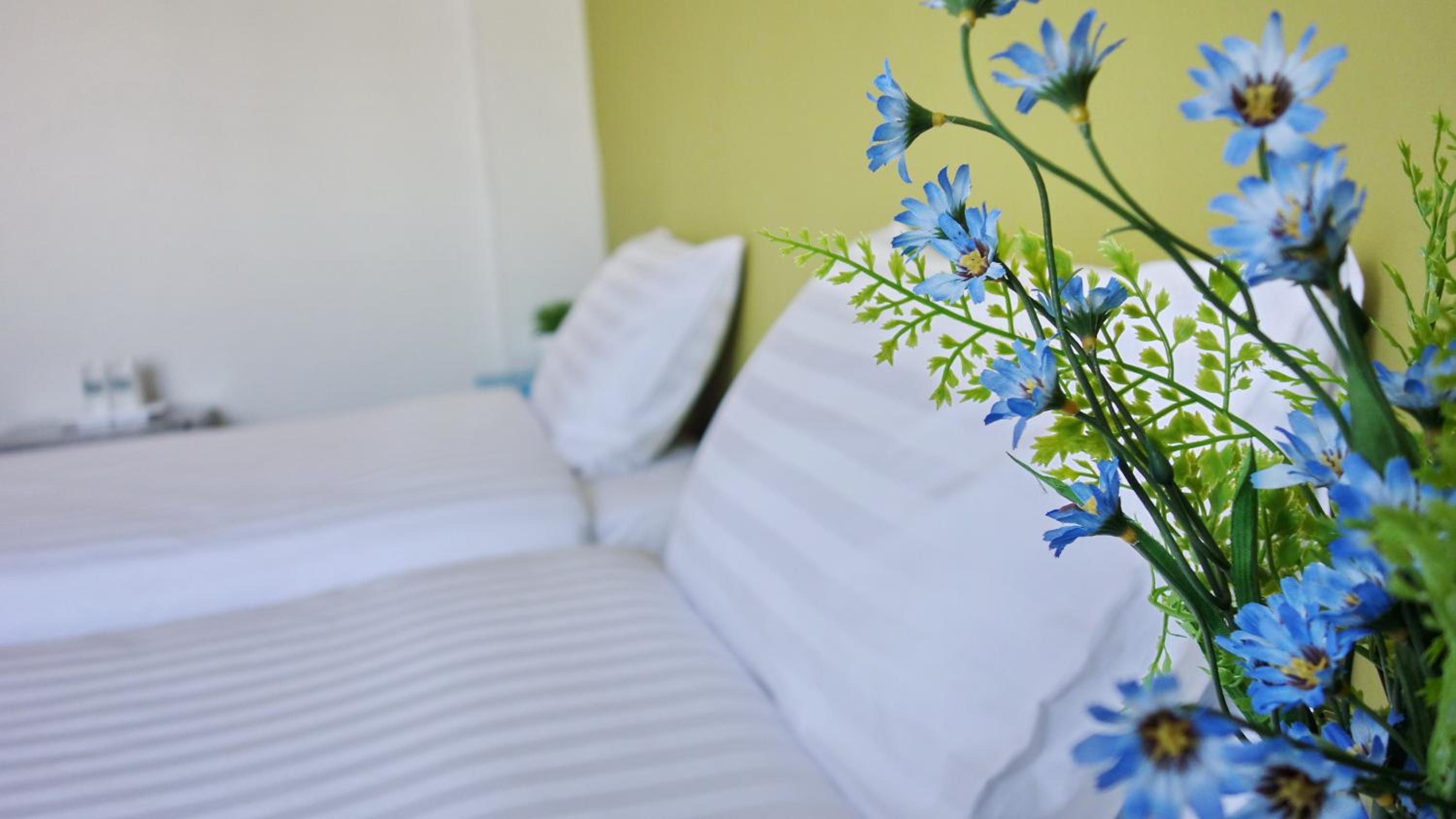 Superior Double or Twin Room - Photo 24