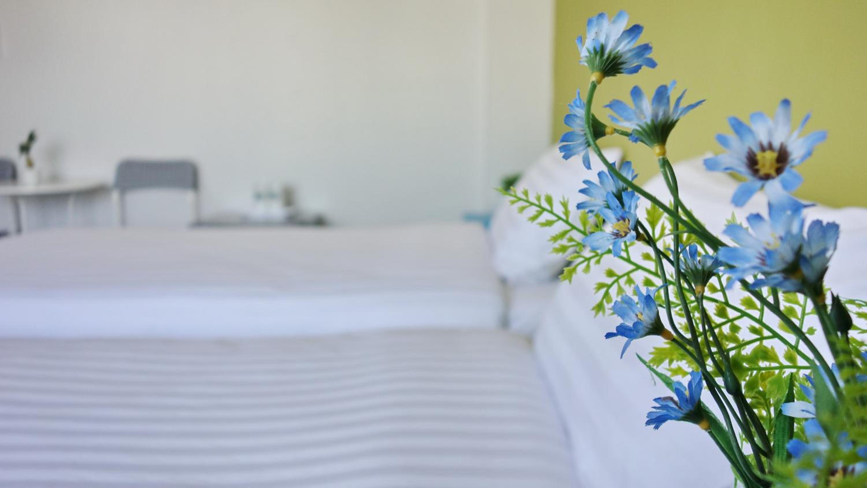 Superior Double or Twin Room - Photo 4