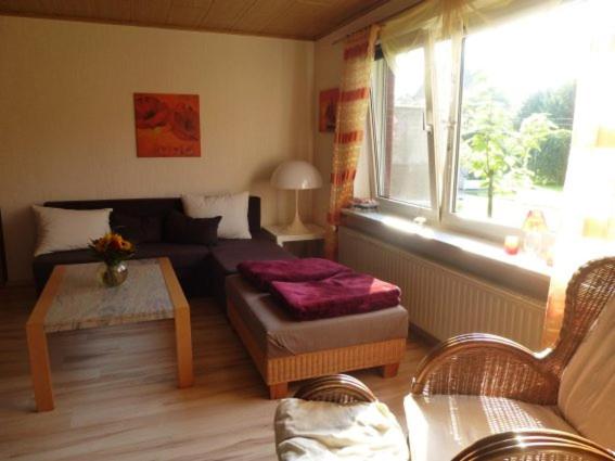 One-Bedroom House photo 3