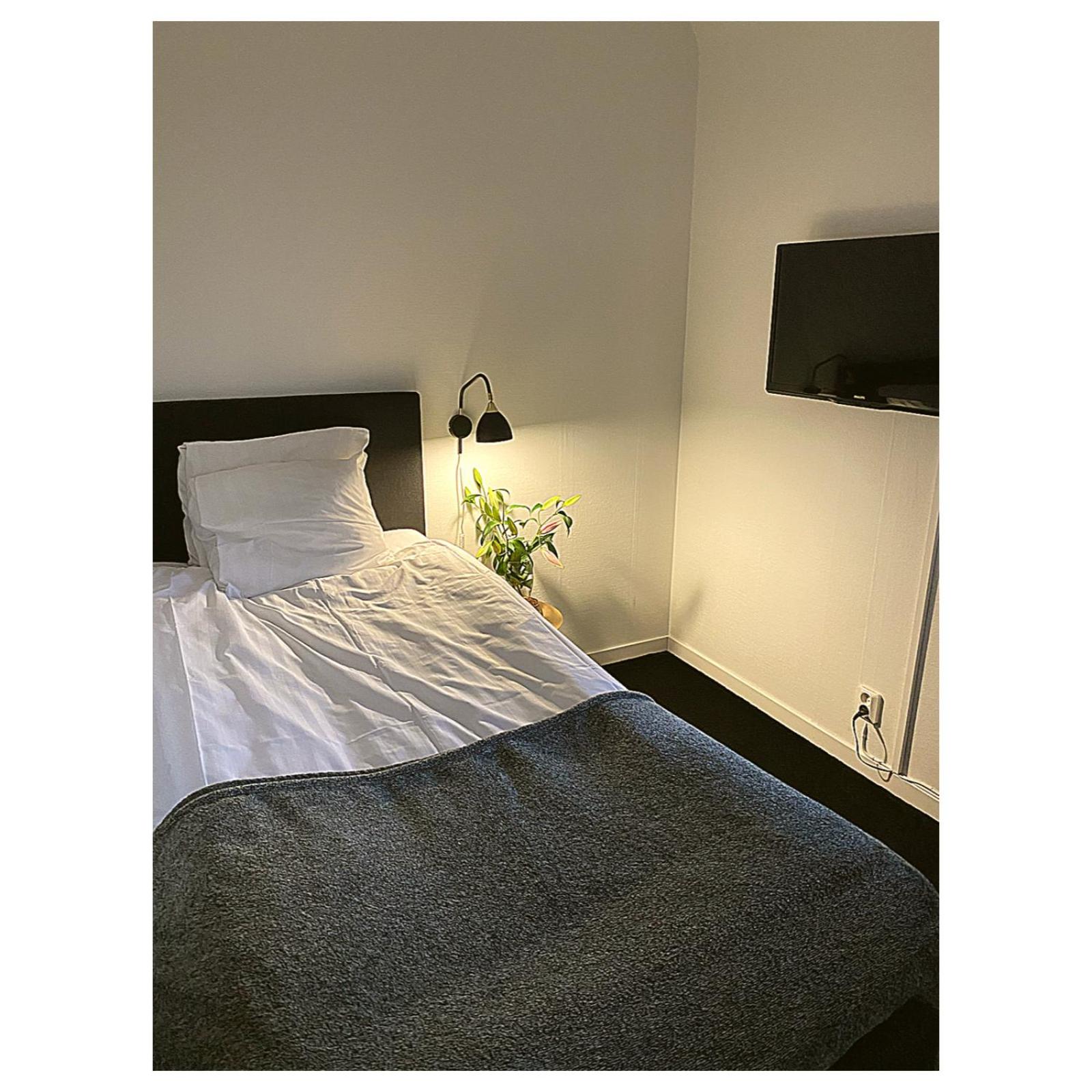 Single Room photo 1