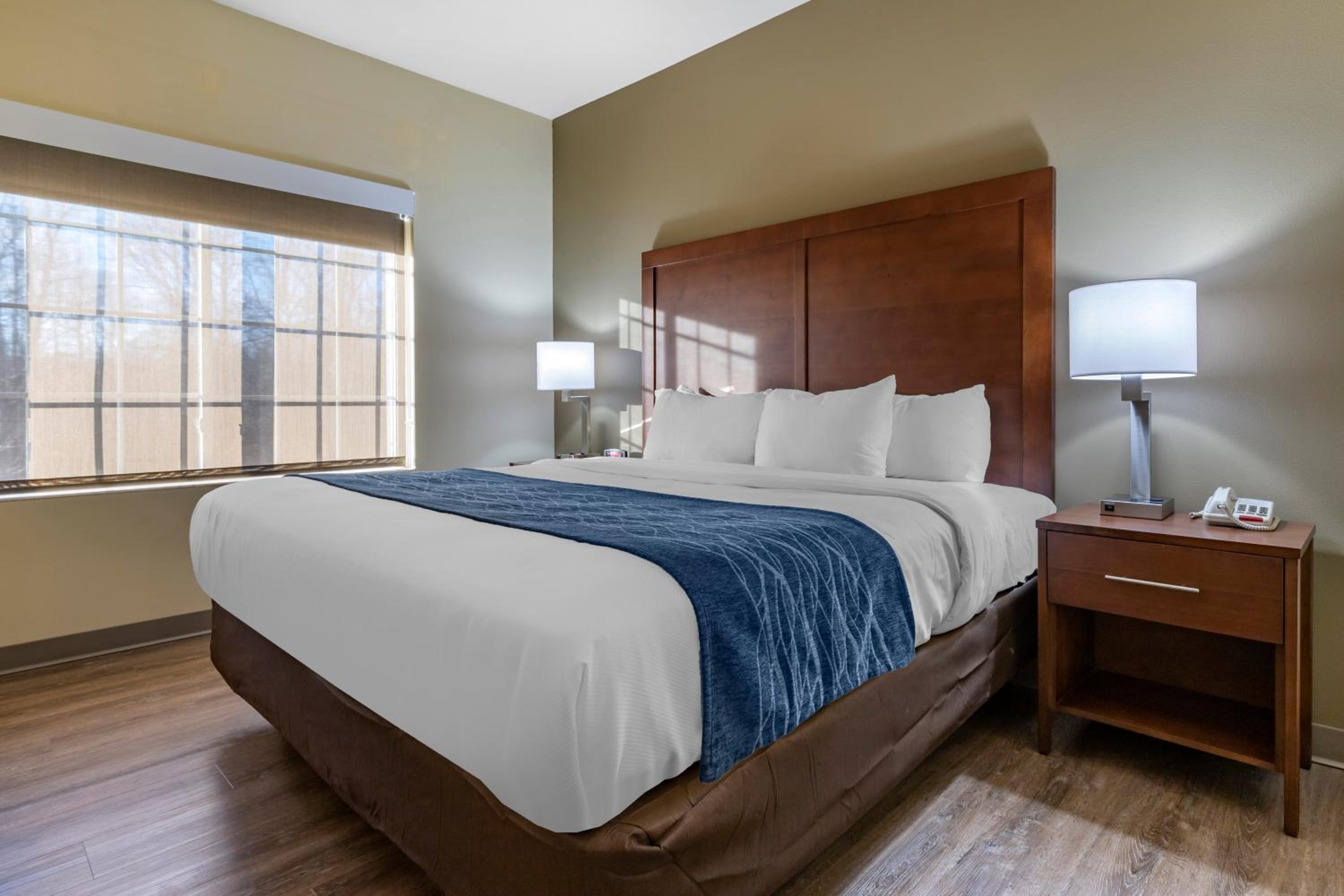 One-Bedroom King Suite - Non-Smoking - Photo 3
