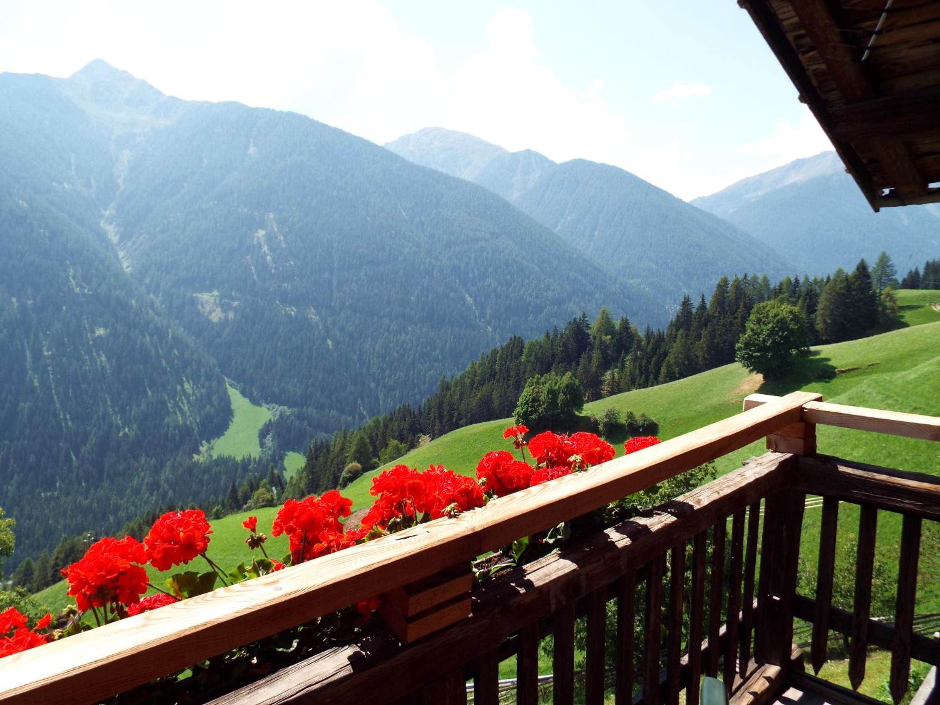 Apartment with Mountain View photo 3