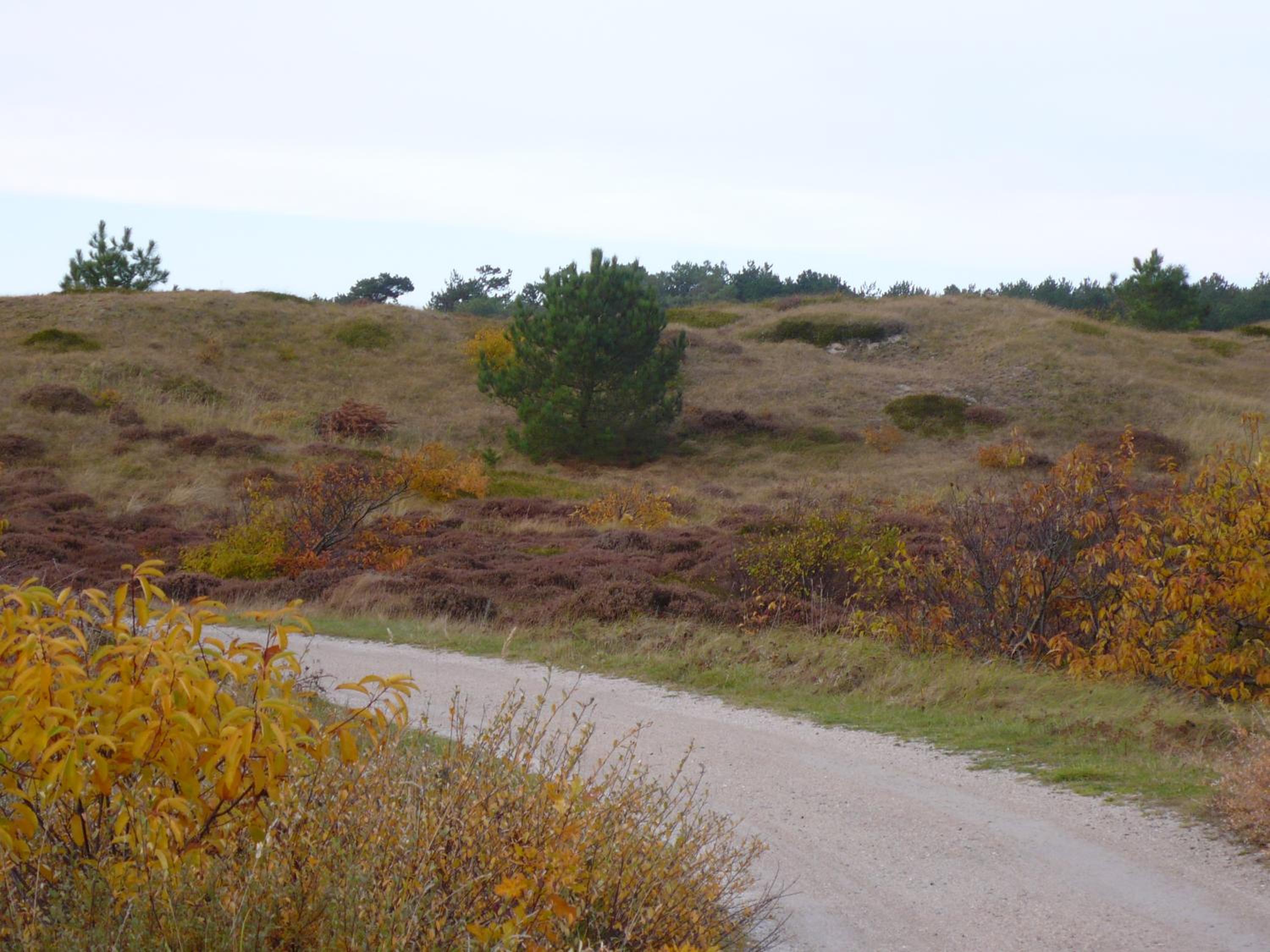 Vacation Home photo 3