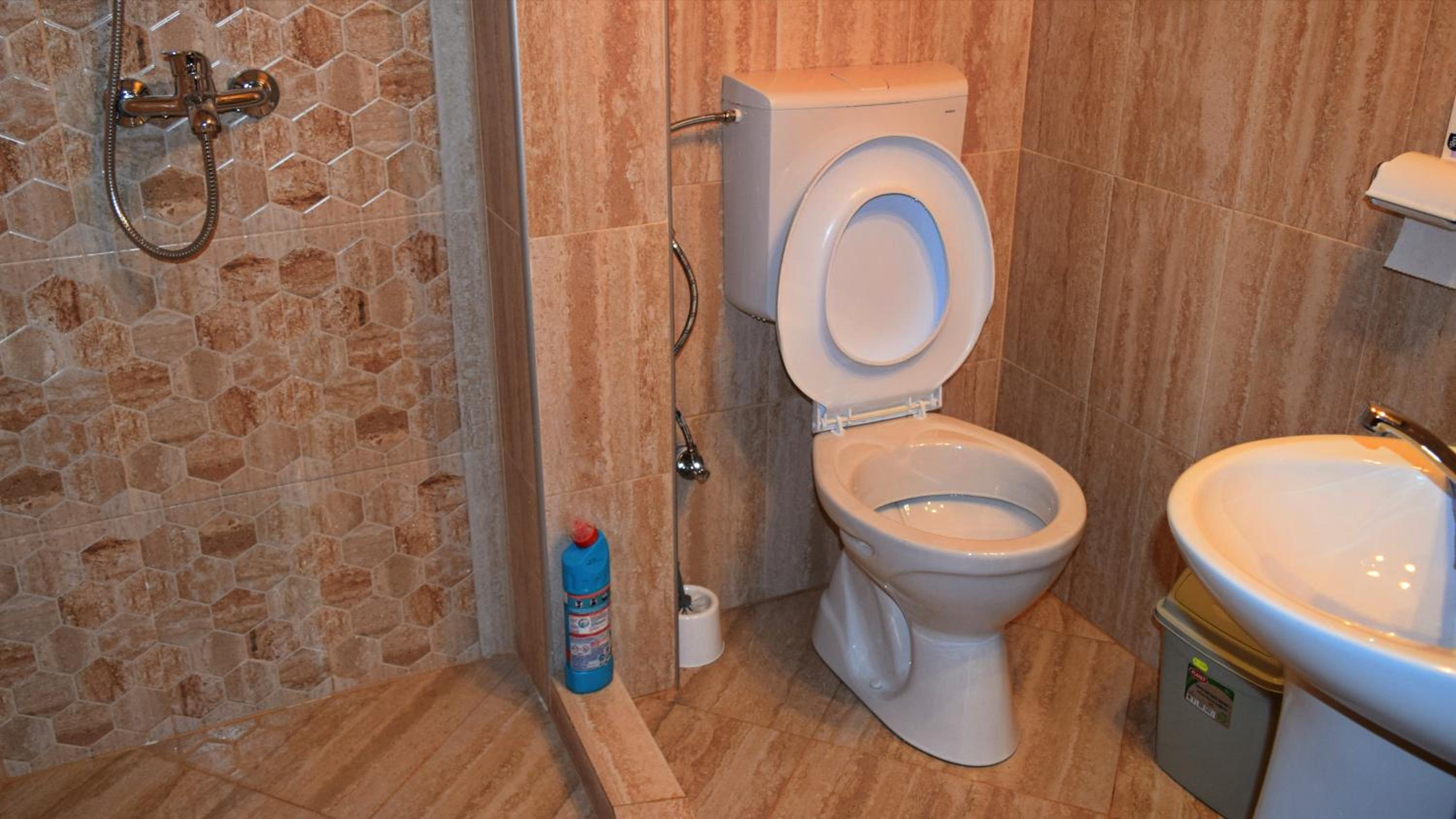 Three-Bedroom House - Photo 13