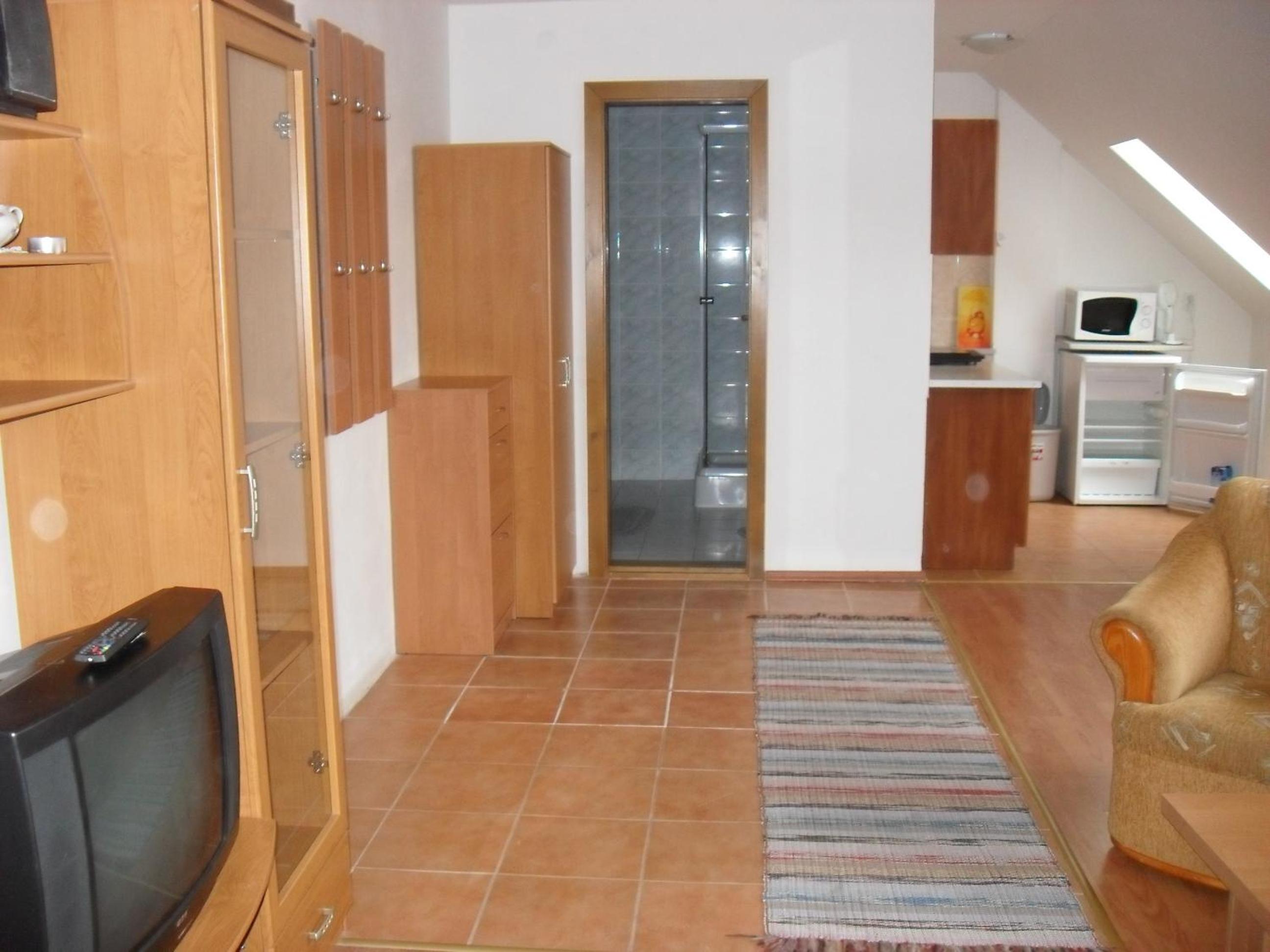 One-Bedroom Apartment photo 2