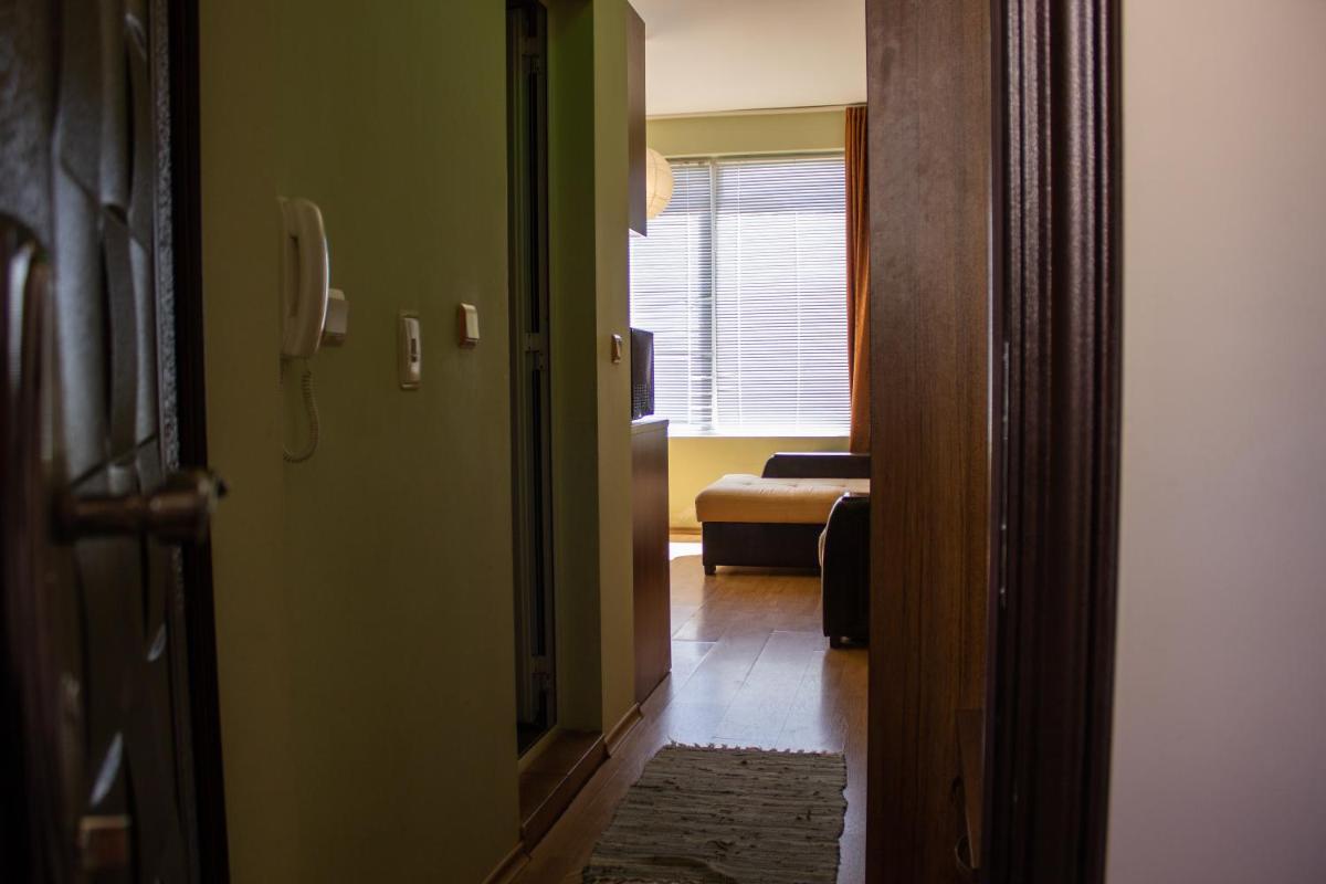 One-Bedroom Apartment photo 2