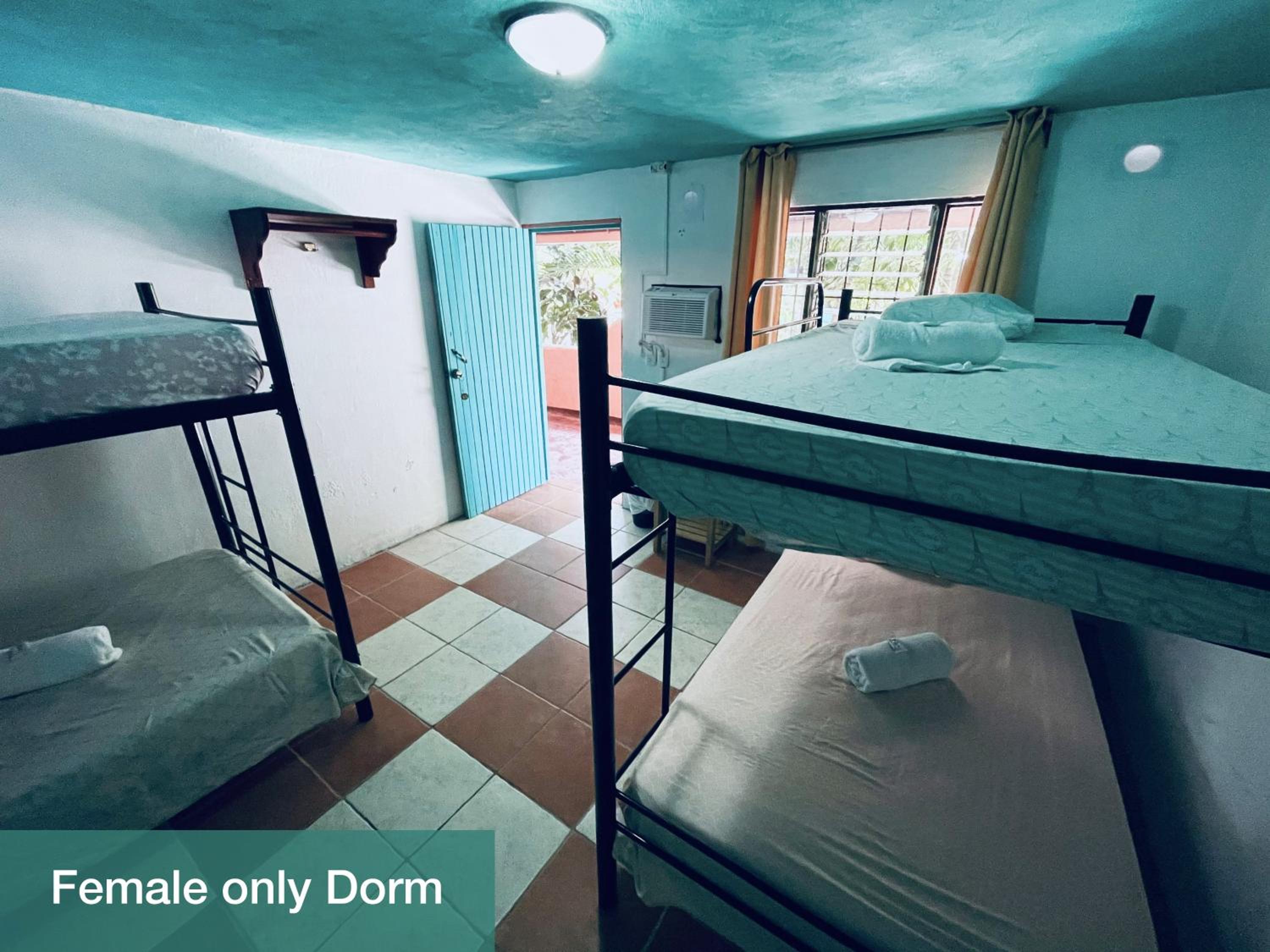 4-Bed Female Dormitory Room photo 1