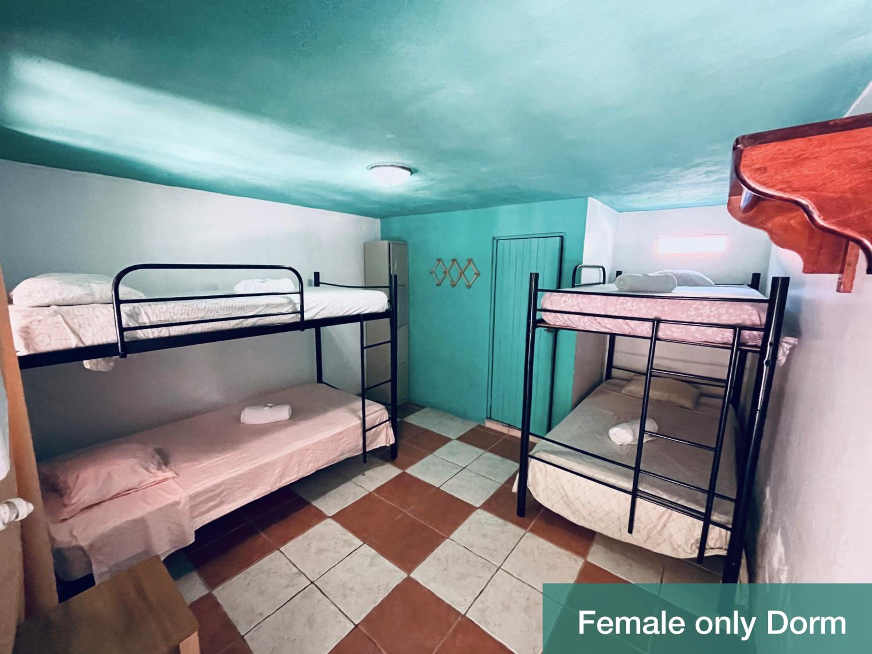 4-Bed Female Dormitory Room photo 2