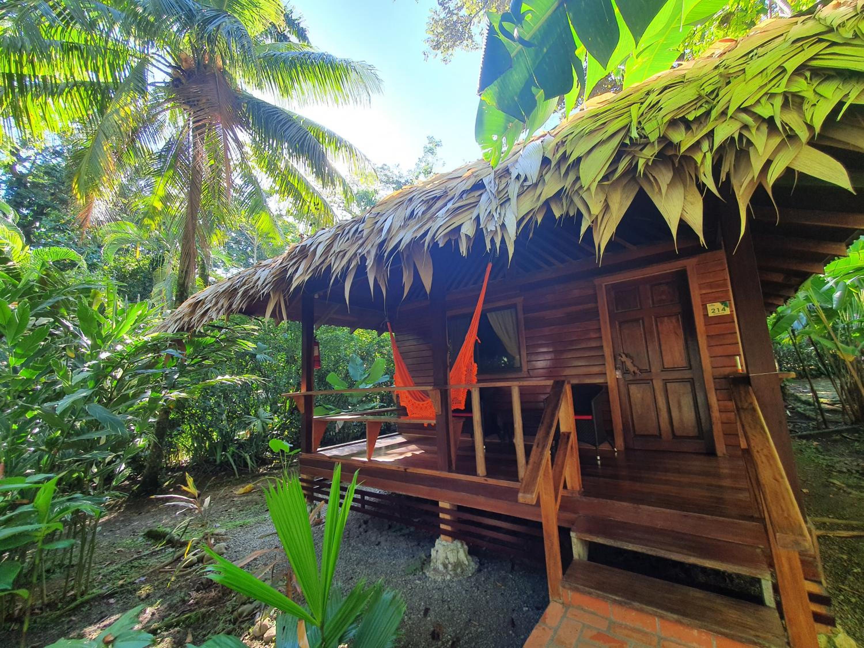 King Bungalow with Jungle View - Photo 15