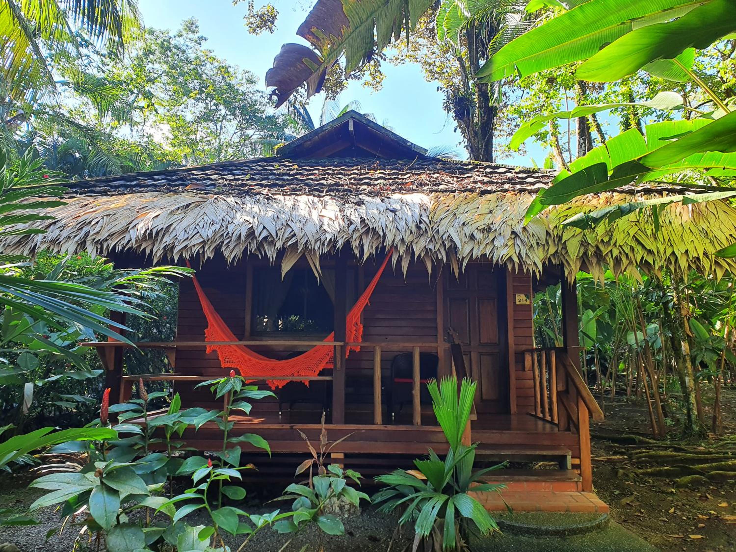 King Bungalow with Jungle View - Photo 8