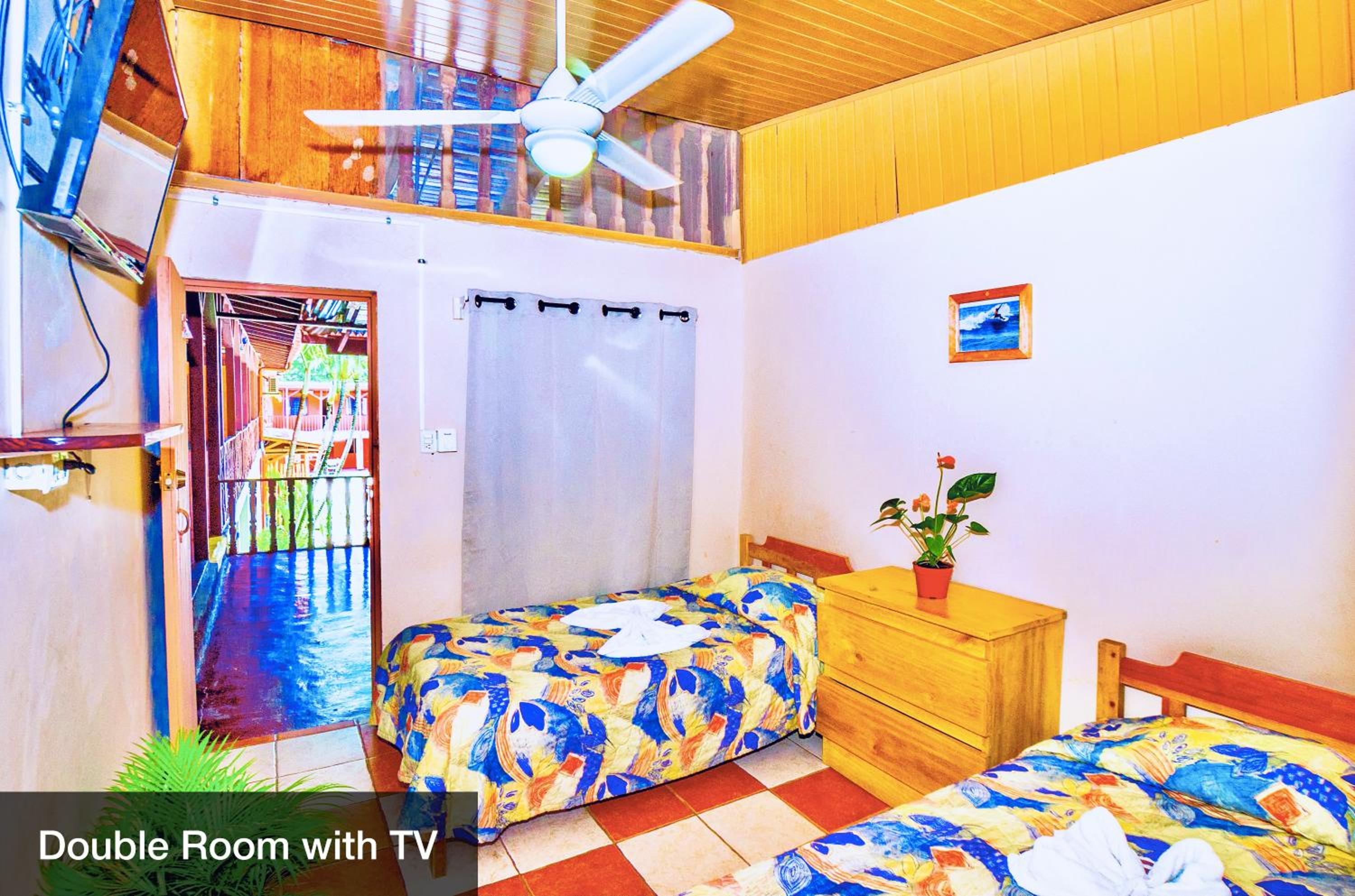 Twin Room photo 1
