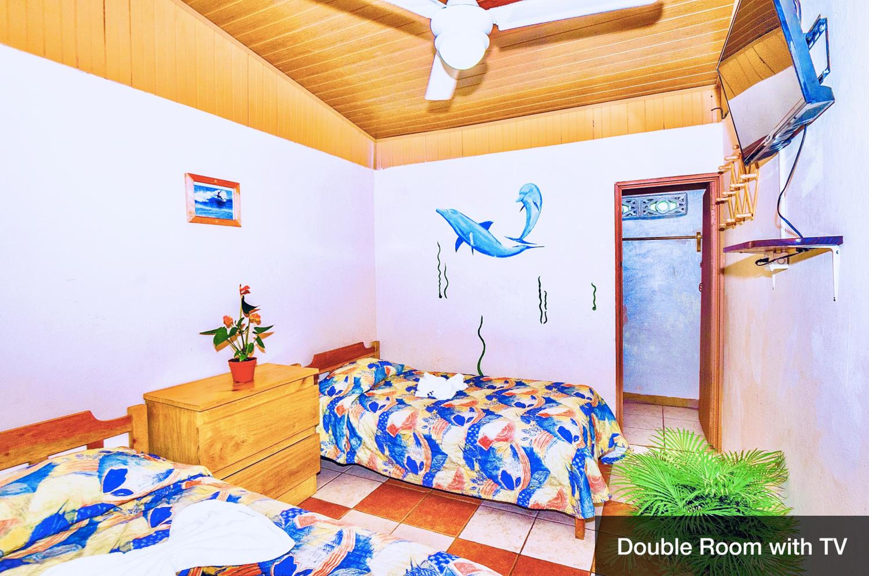Twin Room photo 2