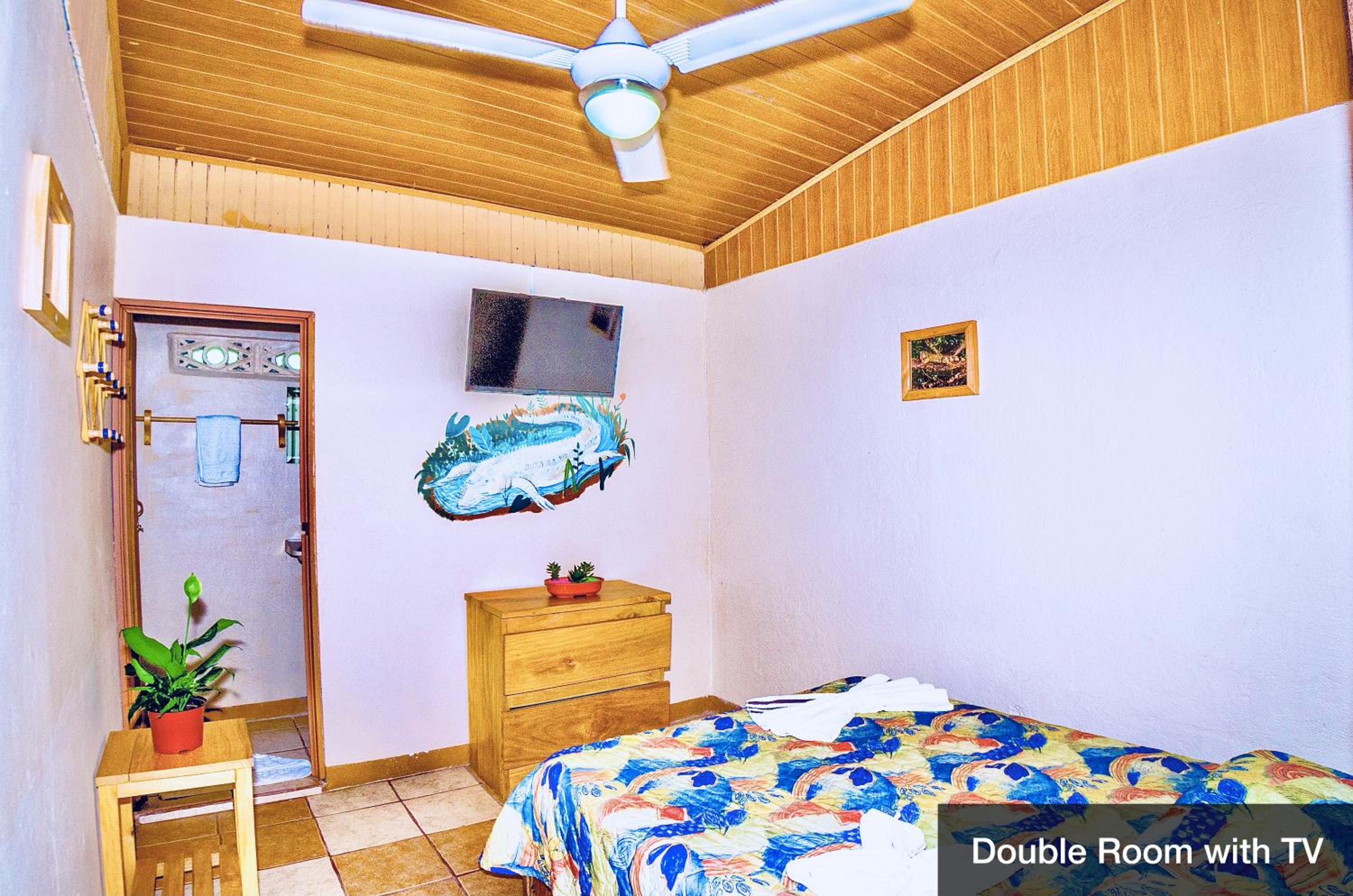 Twin Room photo 3