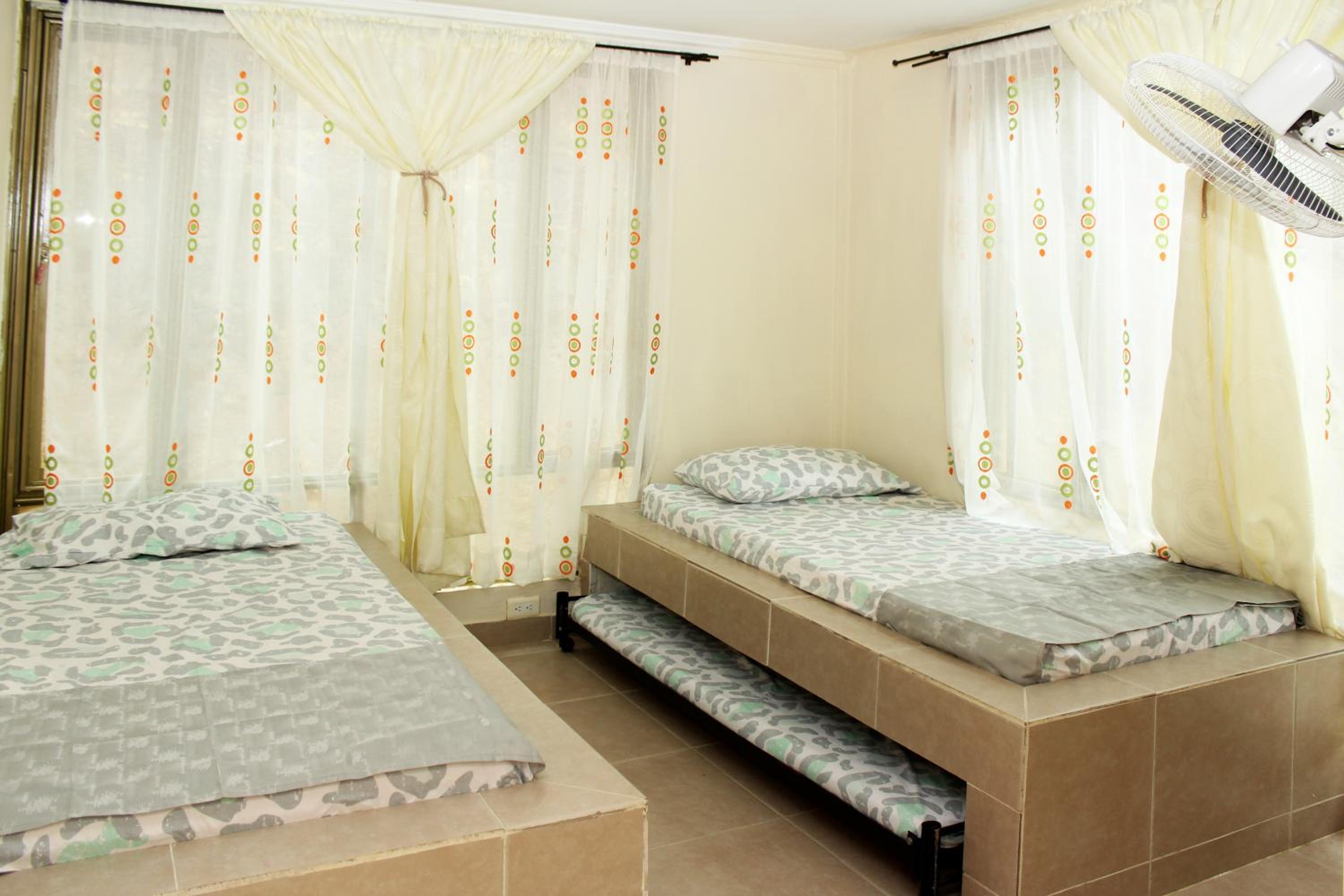 Three-Bedroom House photo 3
