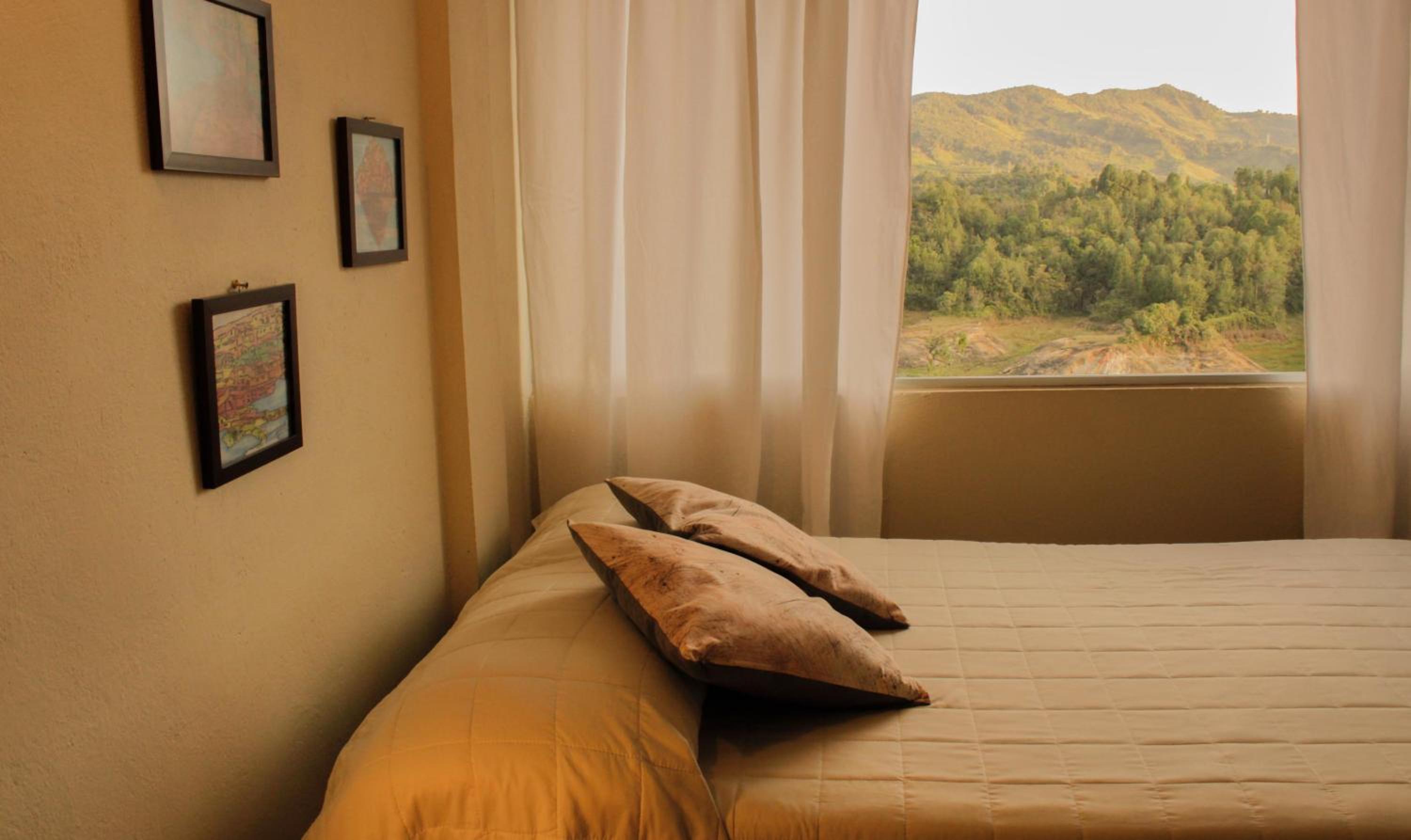 Large Single Room photo 3