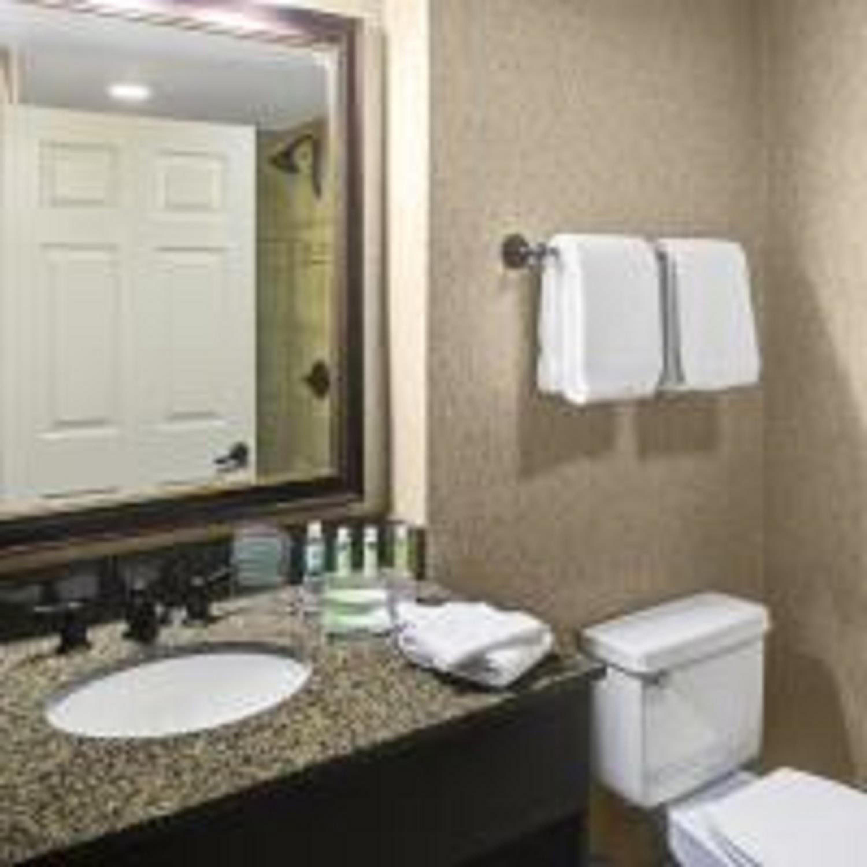 King Suite with Sofa Bed - Photo 4