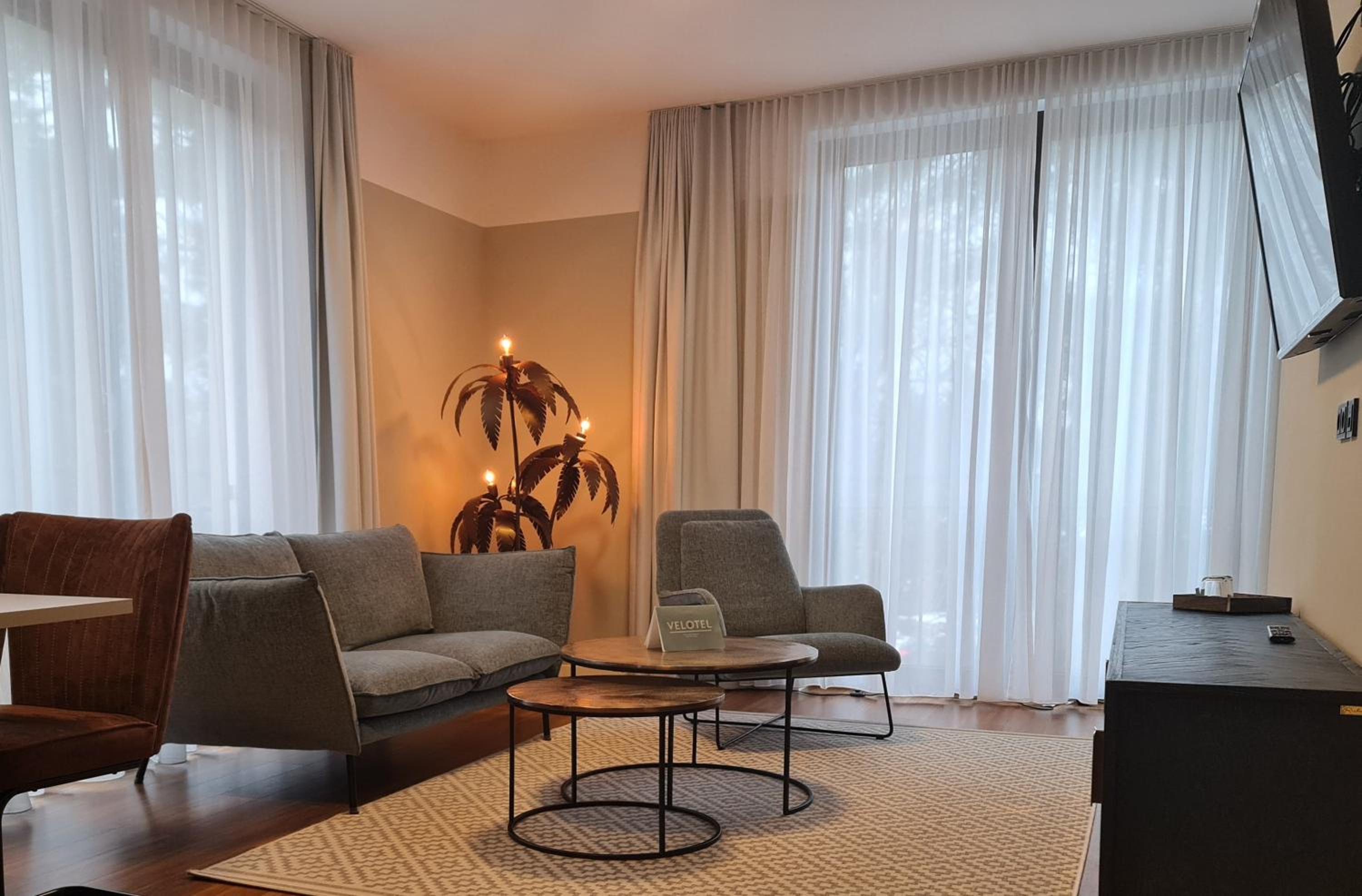 Suite - Photo 1