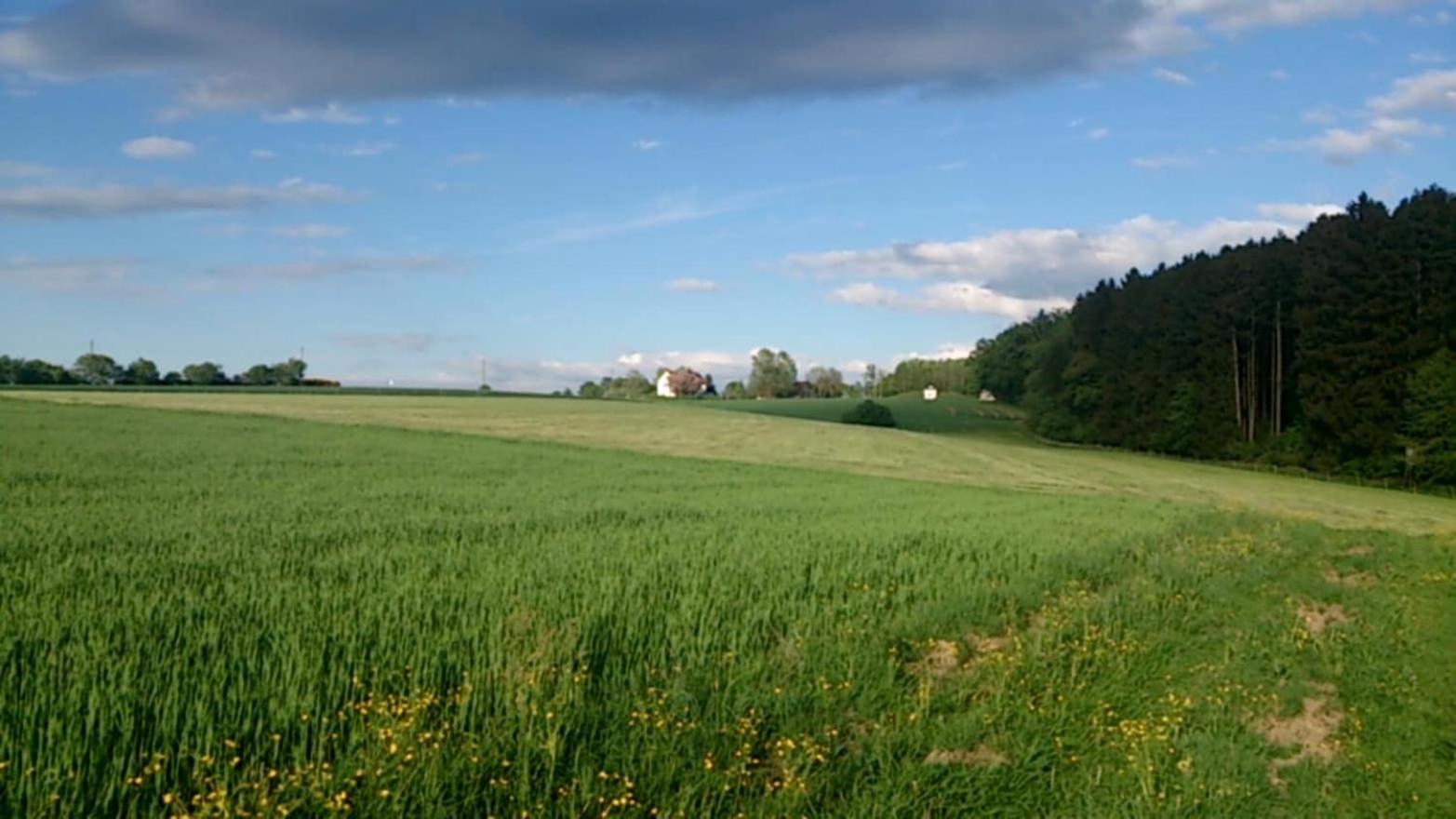 Lejlighed Haus Maria Waldblick, Billede 11