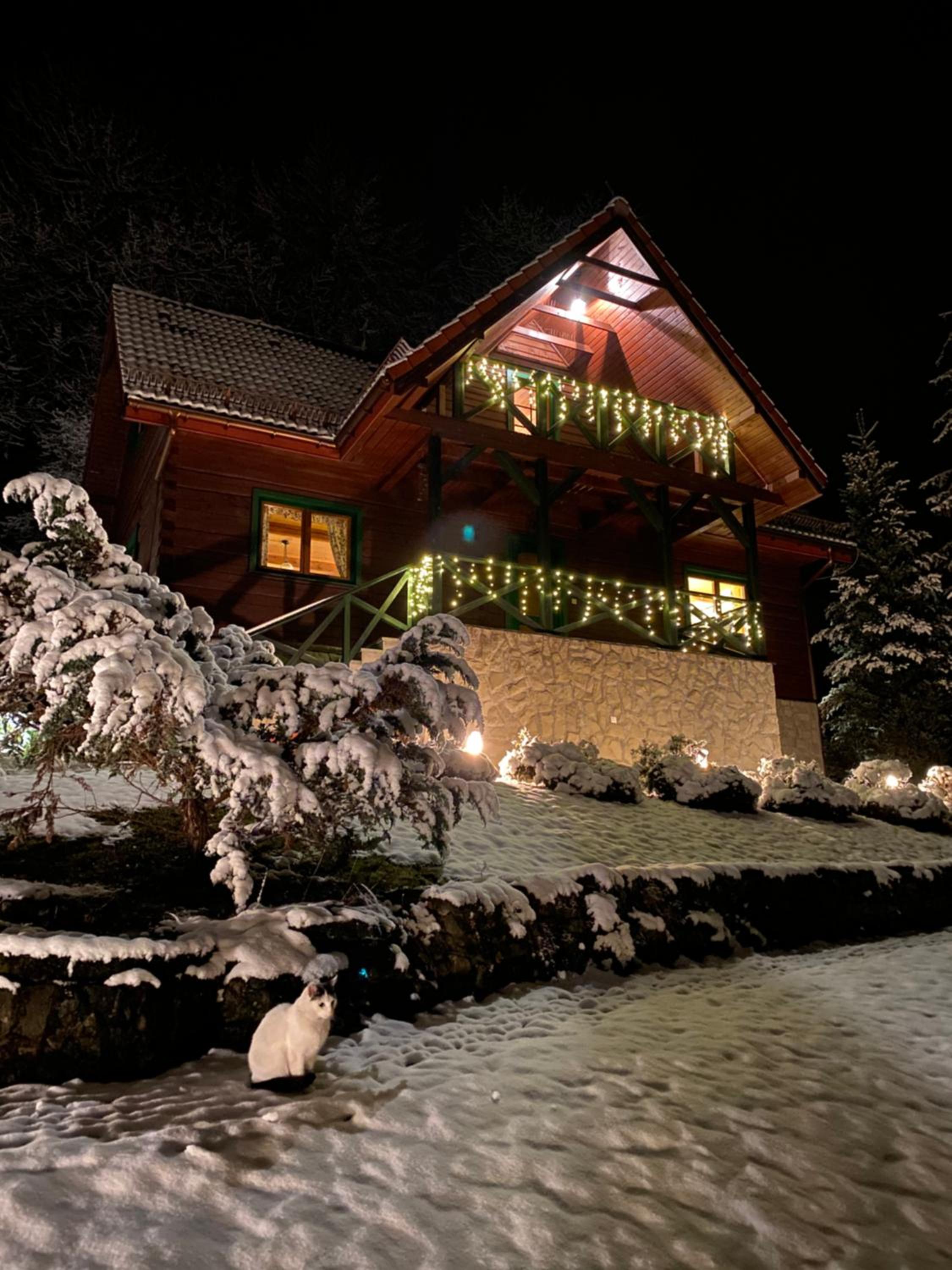 Chalet photo 1