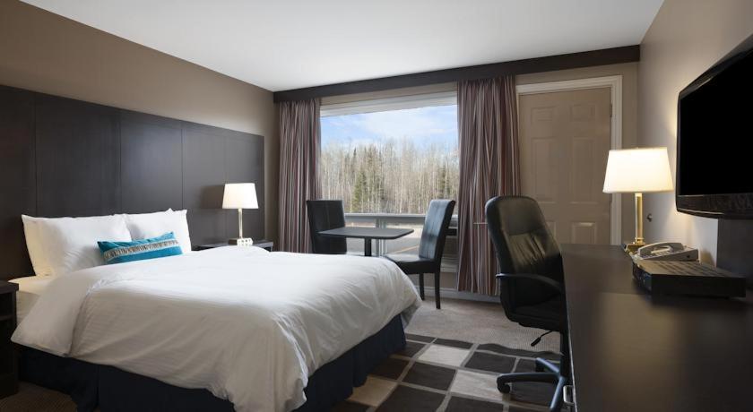 Queen Room - Pet Friendly/Non-Smoking