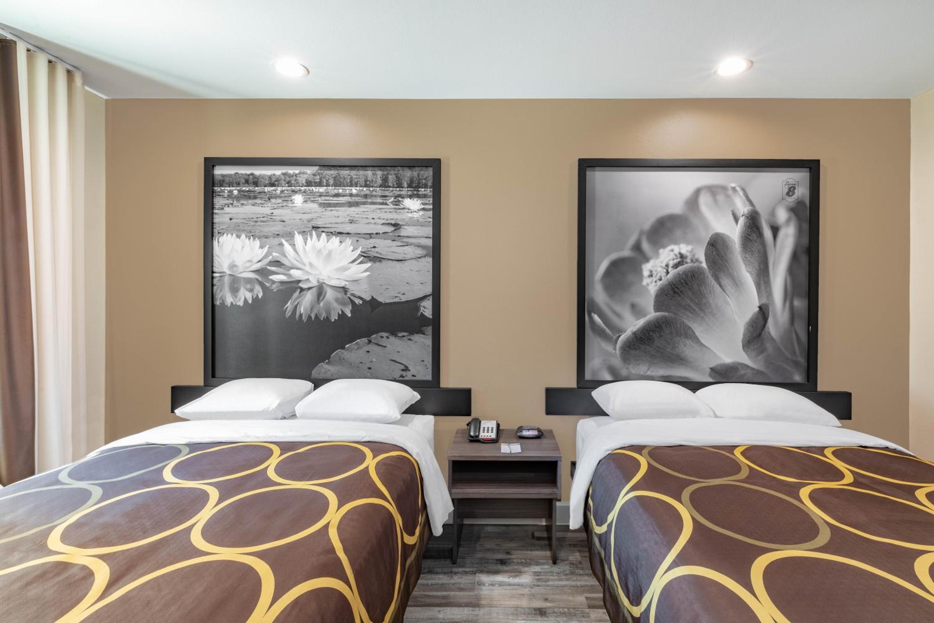 Studio with Two Queen Beds - Non-Smoking - Photo 1