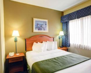 One Room Suite with Sofa bed - Non Smoking - Photo 4
