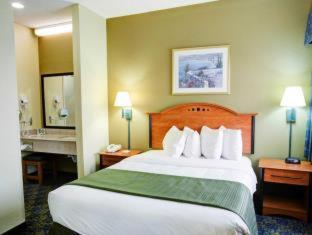 One Room Suite with Sofa bed - Non Smoking - Photo 5