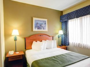 One Room Suite with Sofa bed - Non Smoking - Photo 3