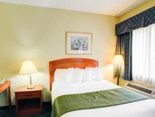 Efficiency King Suite with Sofa - Disability Access/Non Smoking photo 3