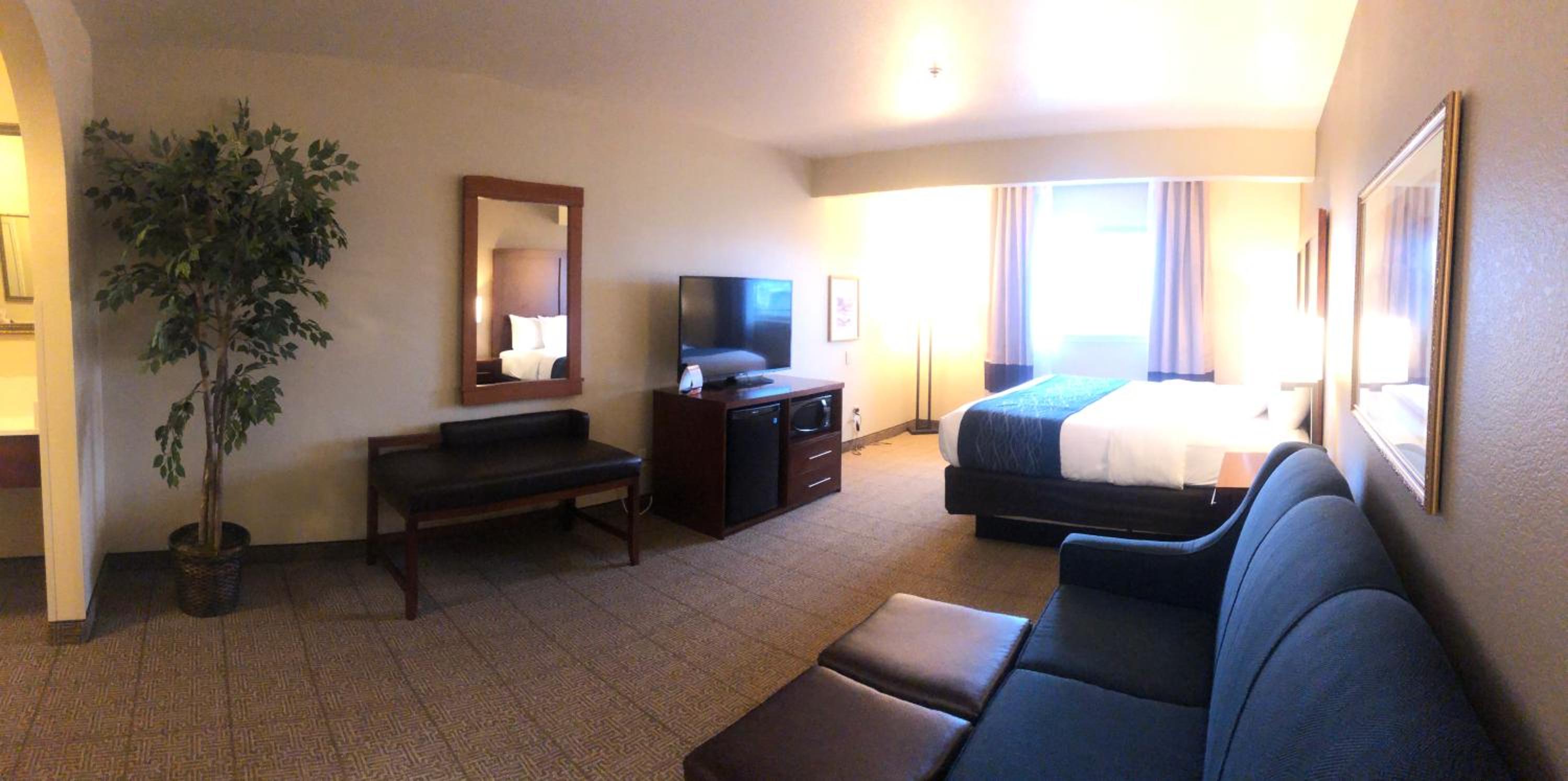 King Suite - Non-Smoking - Photo 4