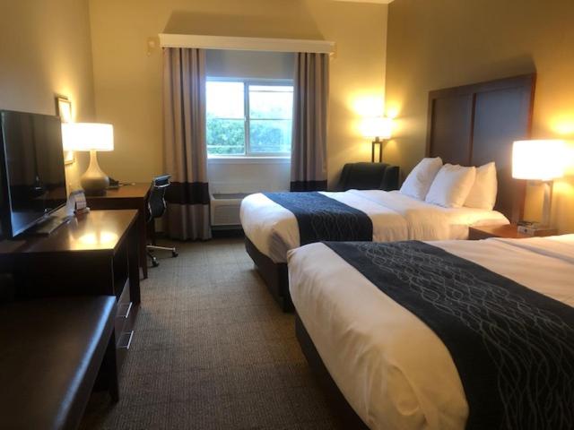 Queen Room with Two Queen Beds - Non-Smoking - Photo 5