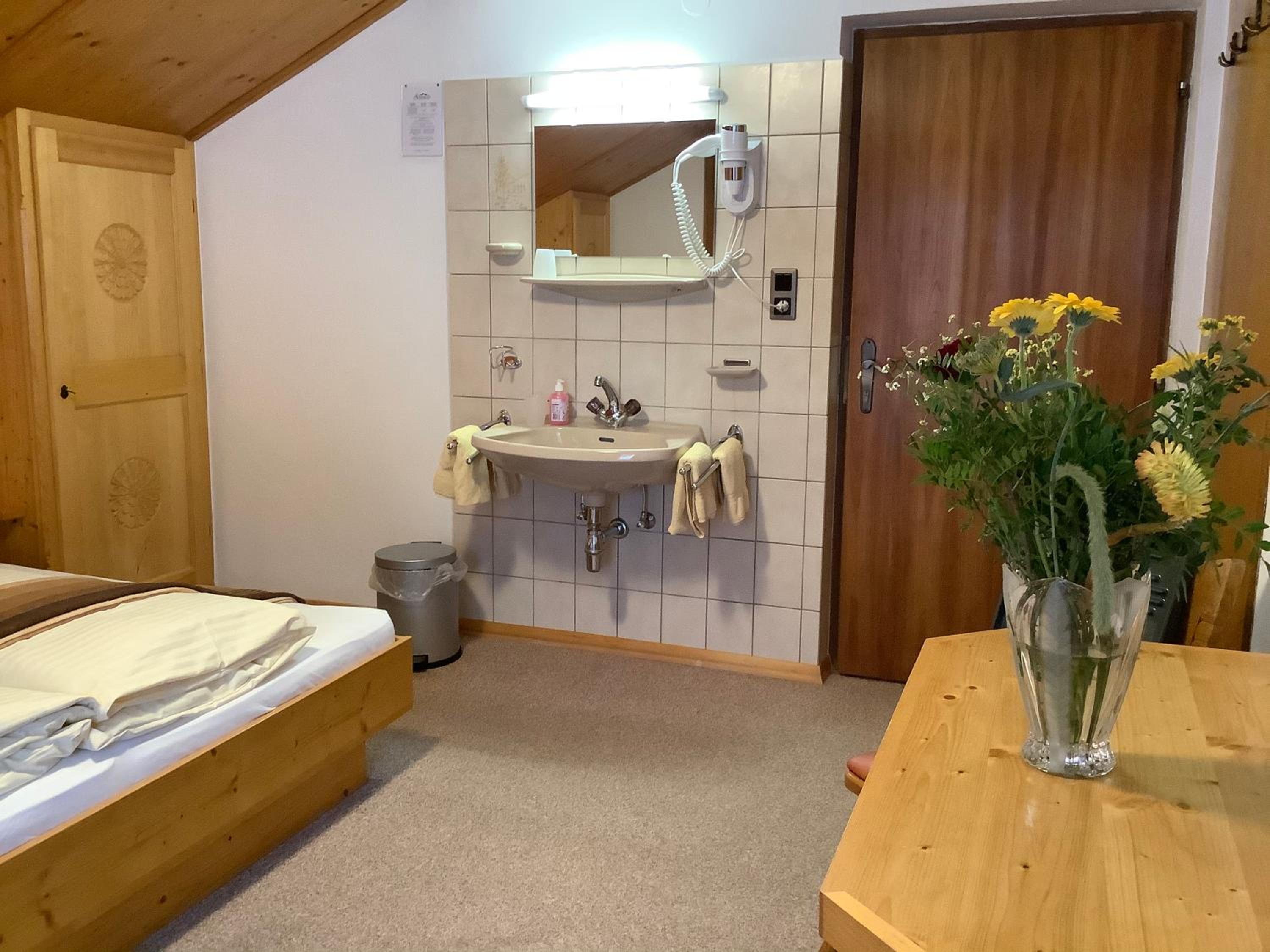 Double Room with Mountain View photo 2