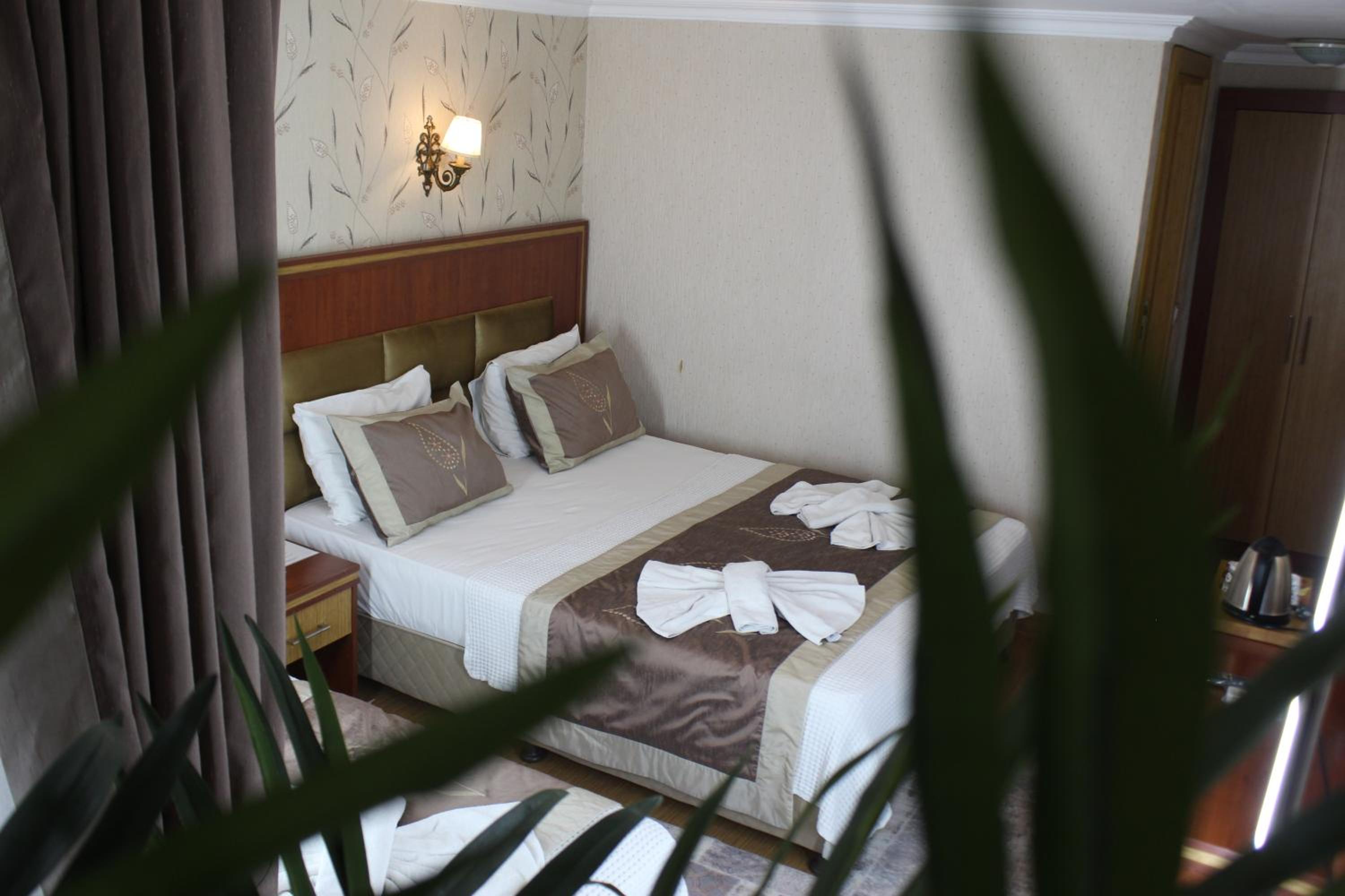 Single Room photo 1