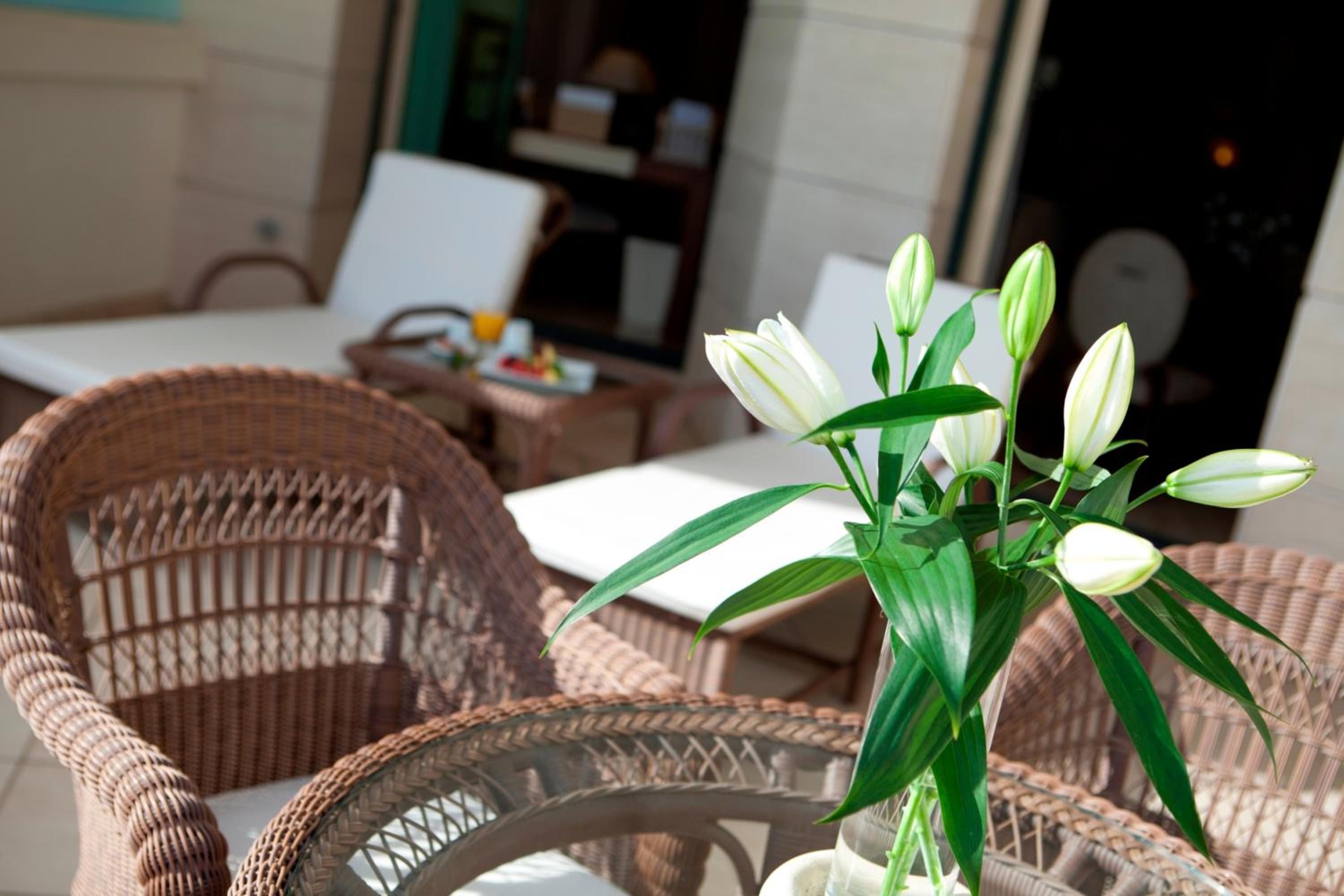 Suite Junior con vista al mar.