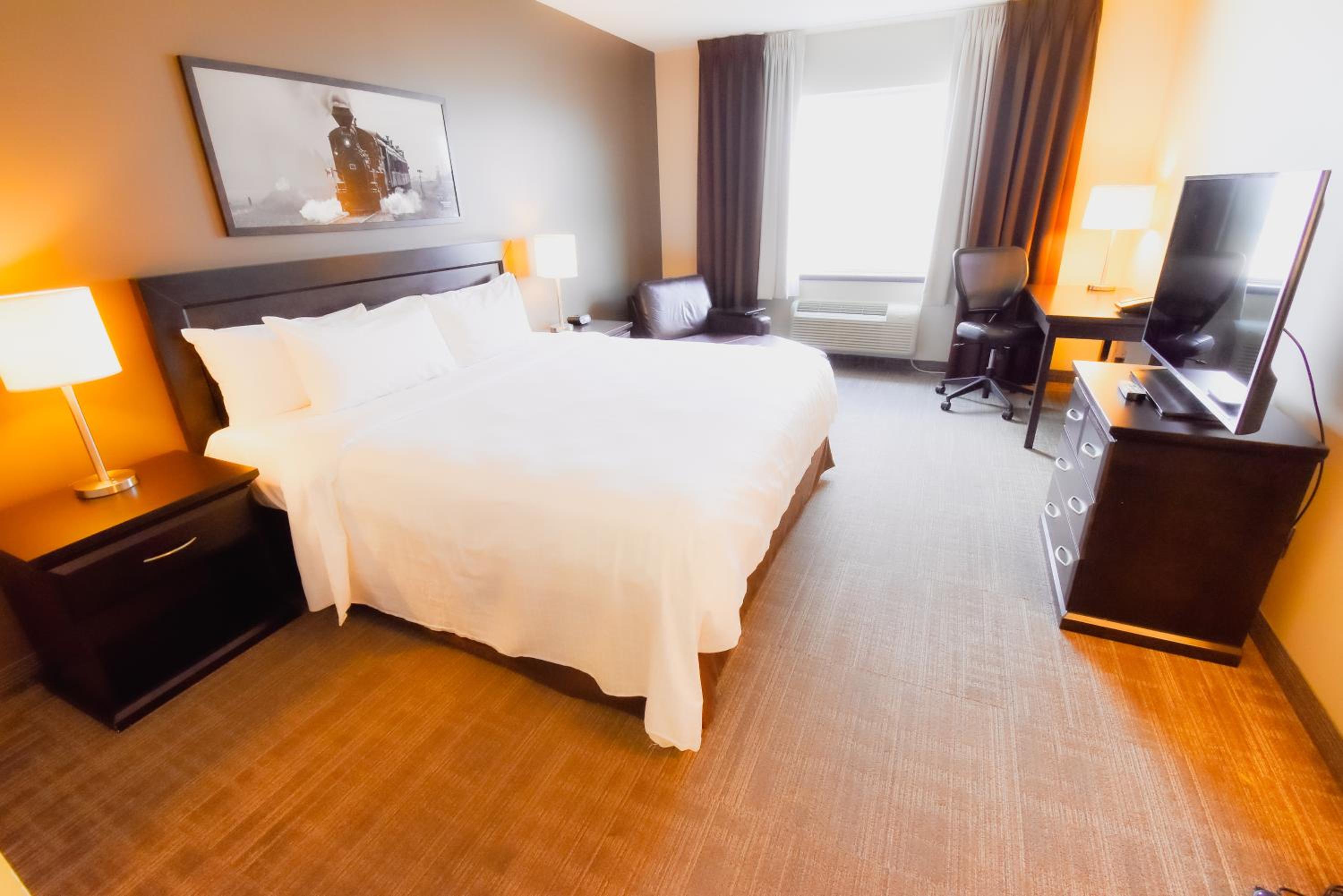 King Room photo 1