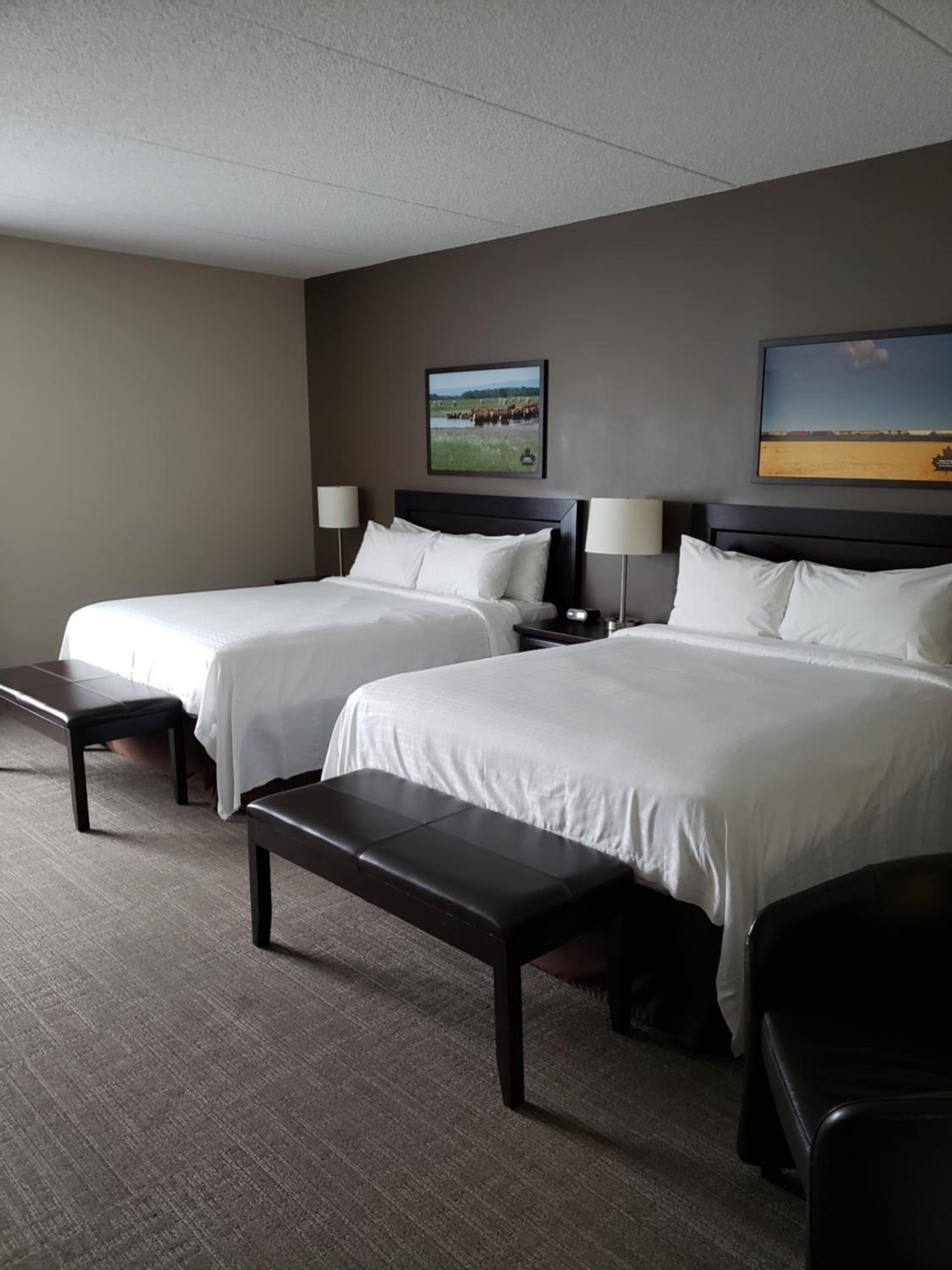 Deluxe Queen Room photo 1