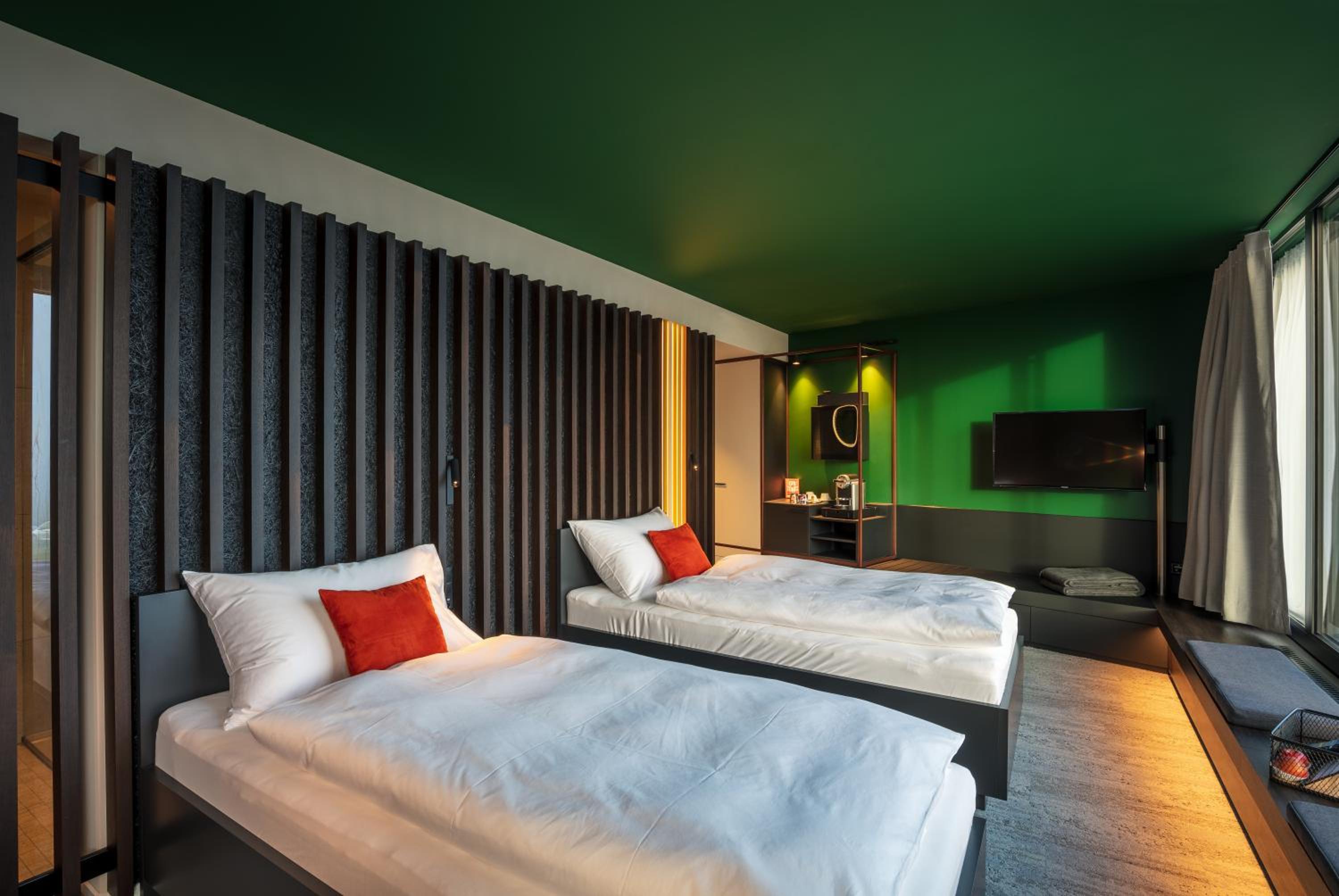 Standard Twin Room with Mountain View photo 3