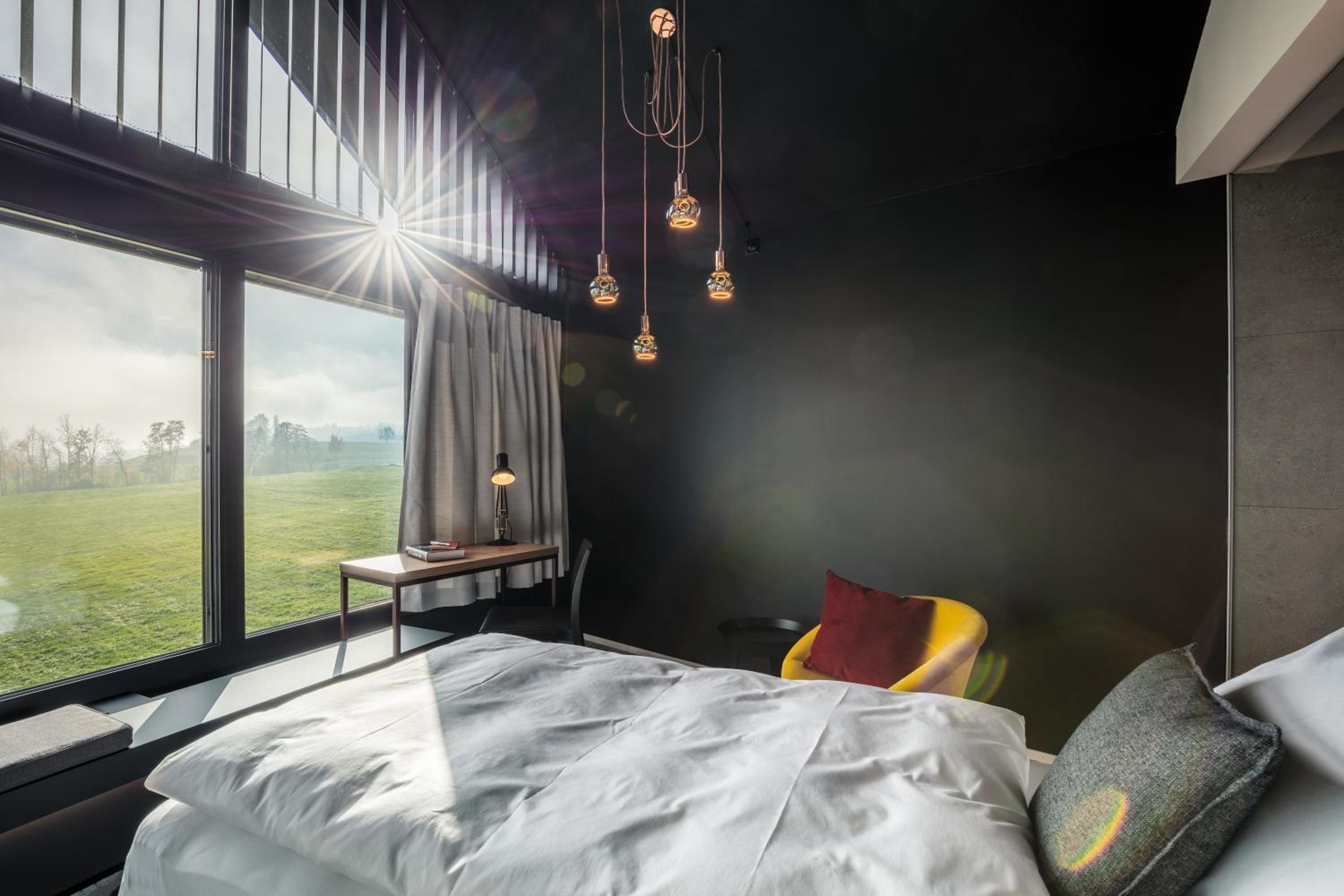 Deluxe King Room photo 2