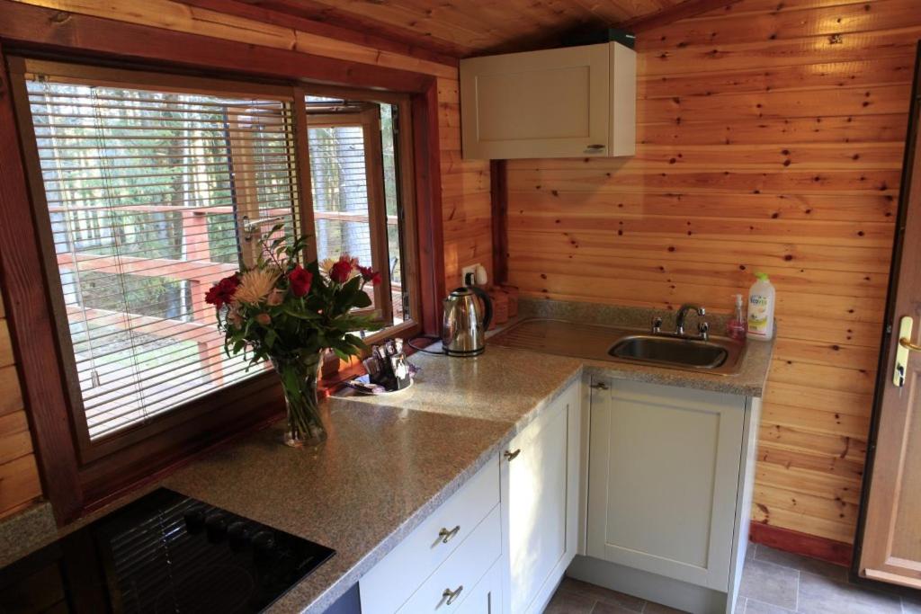 Woodcutters Cabin photo 2