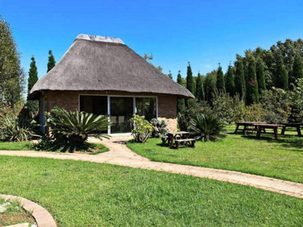 Suite - Photo 2