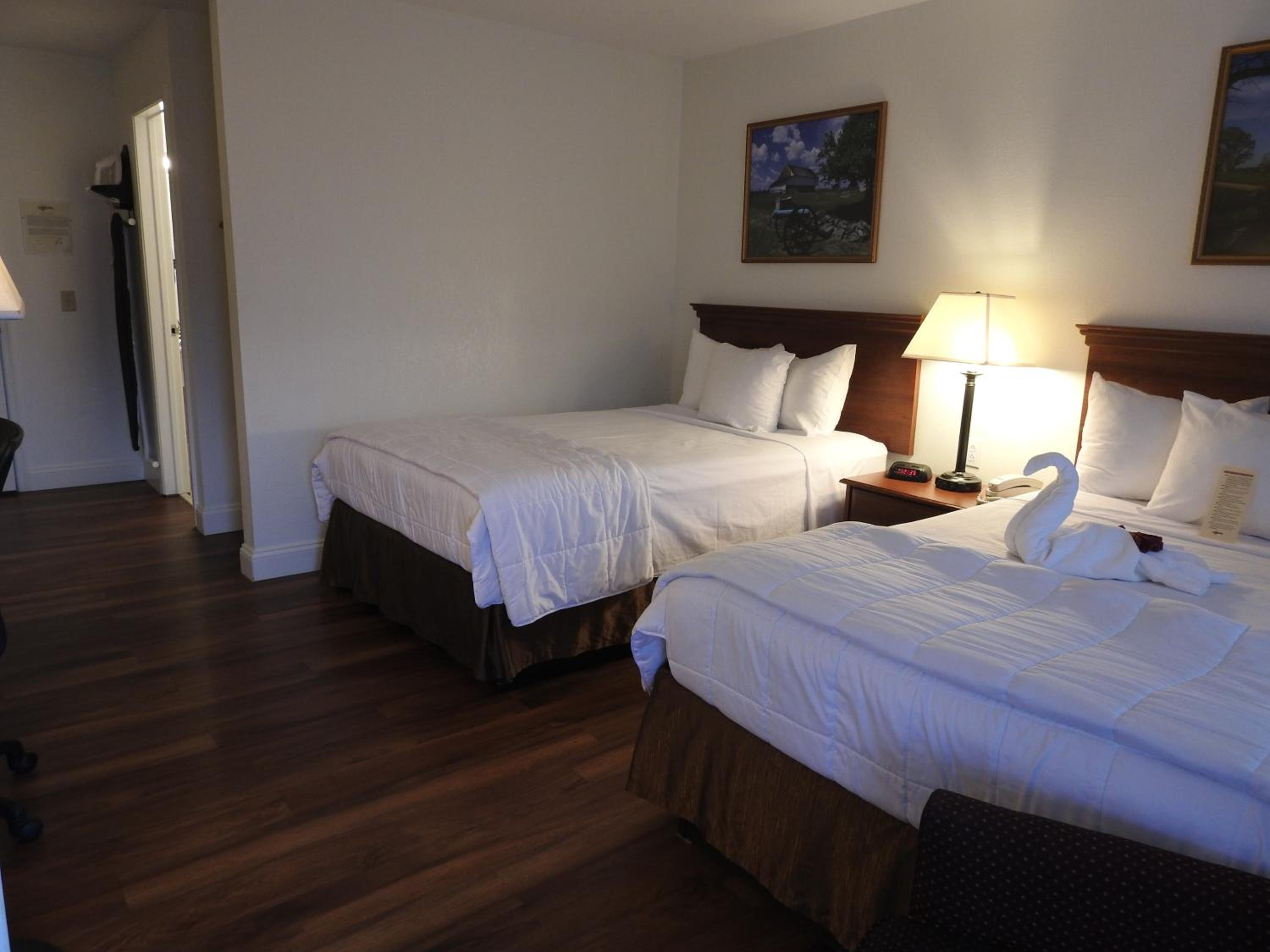 Standard Room with Two Double Beds- Pet Friendly - Photo 1