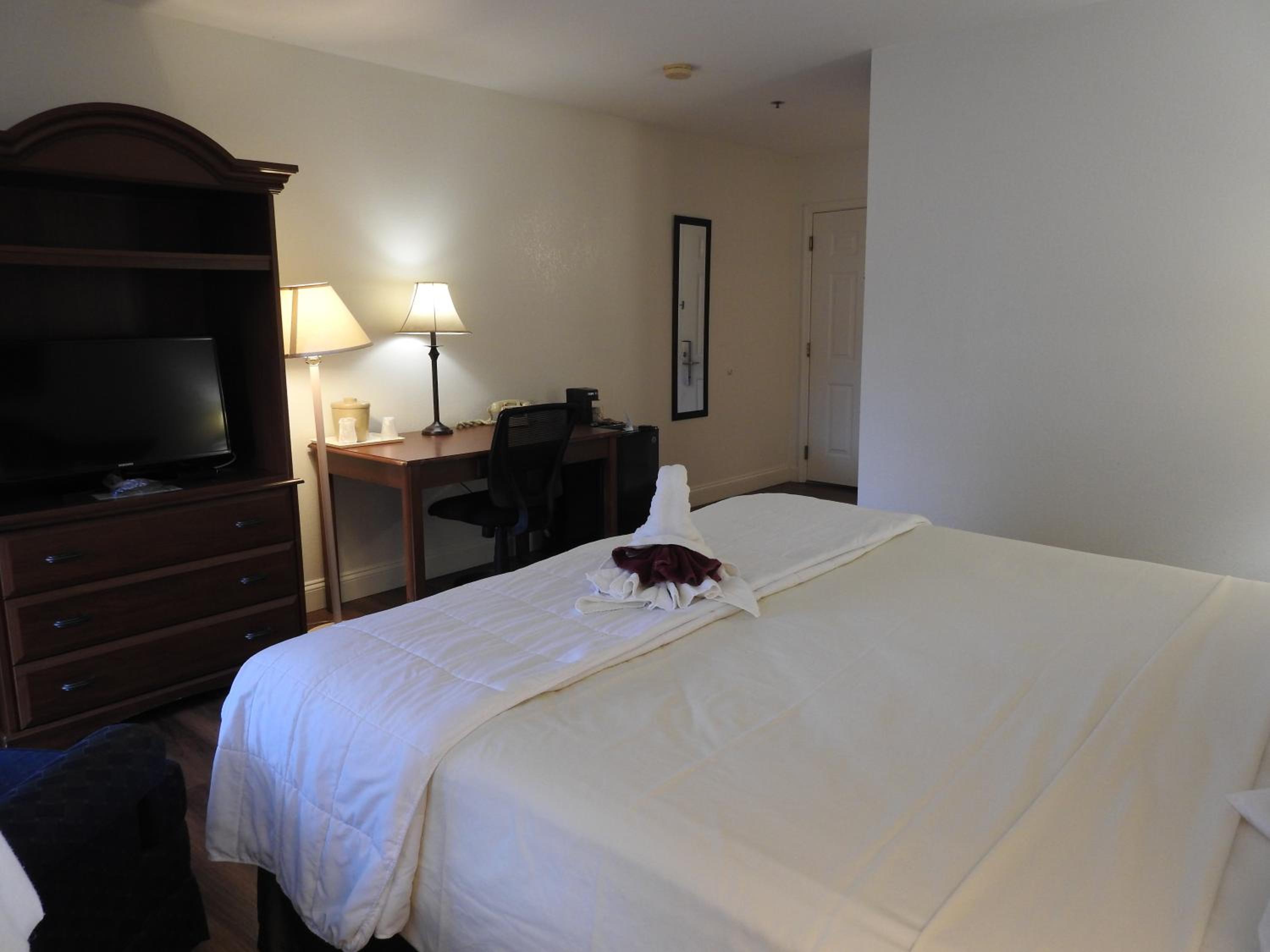 King Room- Pet Friendly - Photo 5