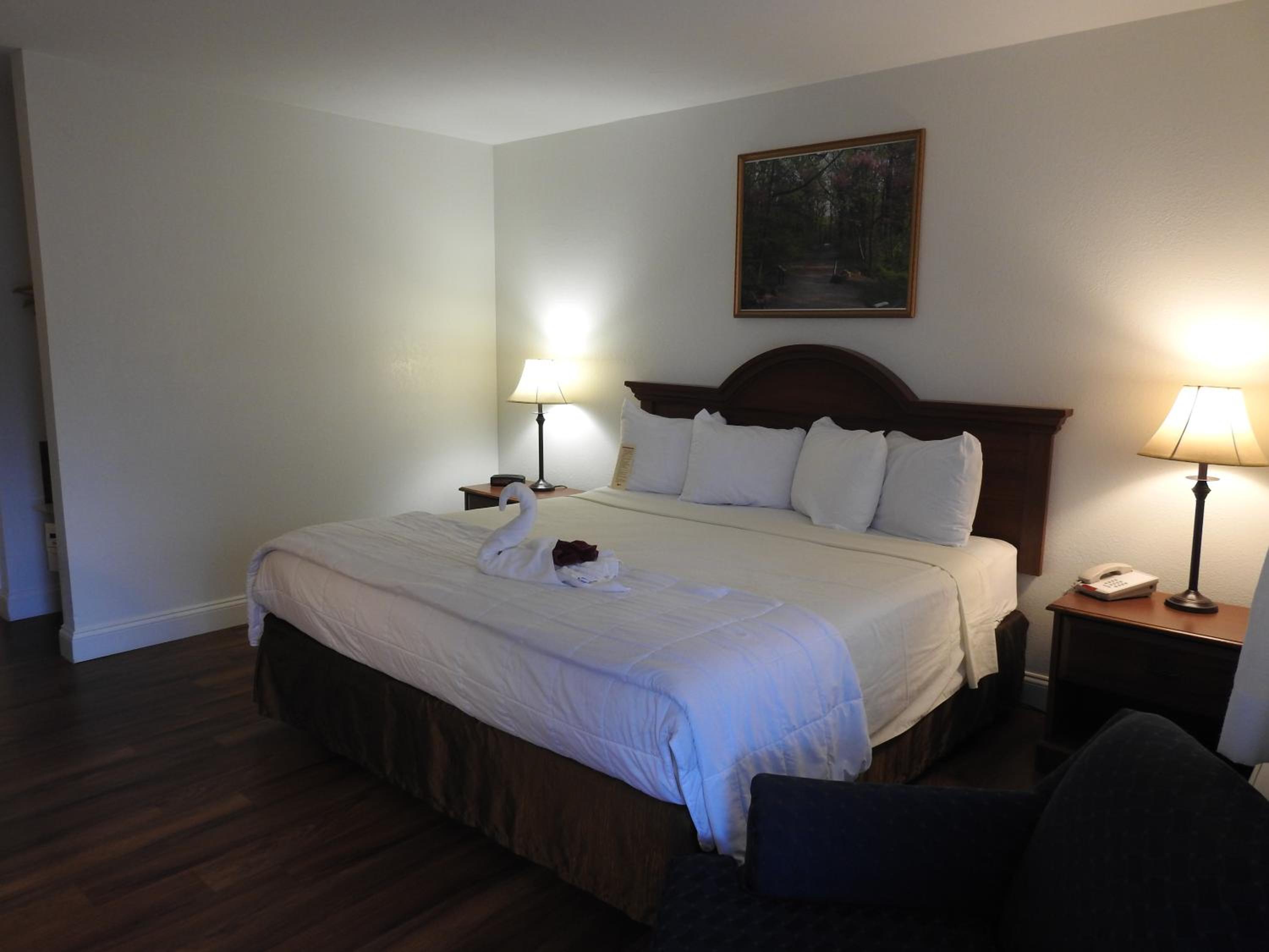 King Room- Pet Friendly - Photo 6