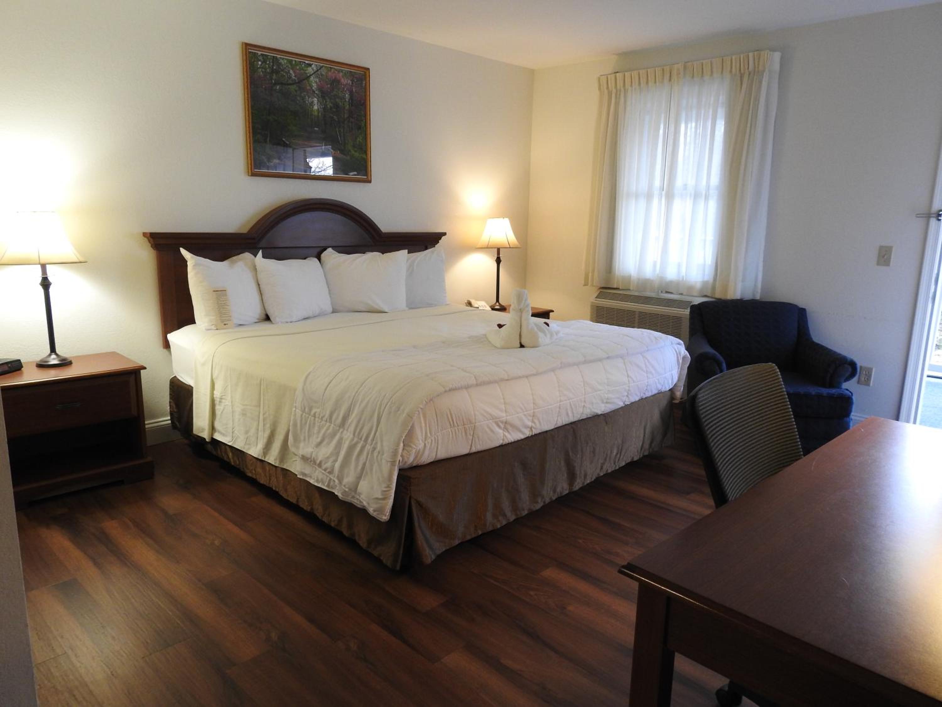 King Room- Pet Friendly - Photo 3