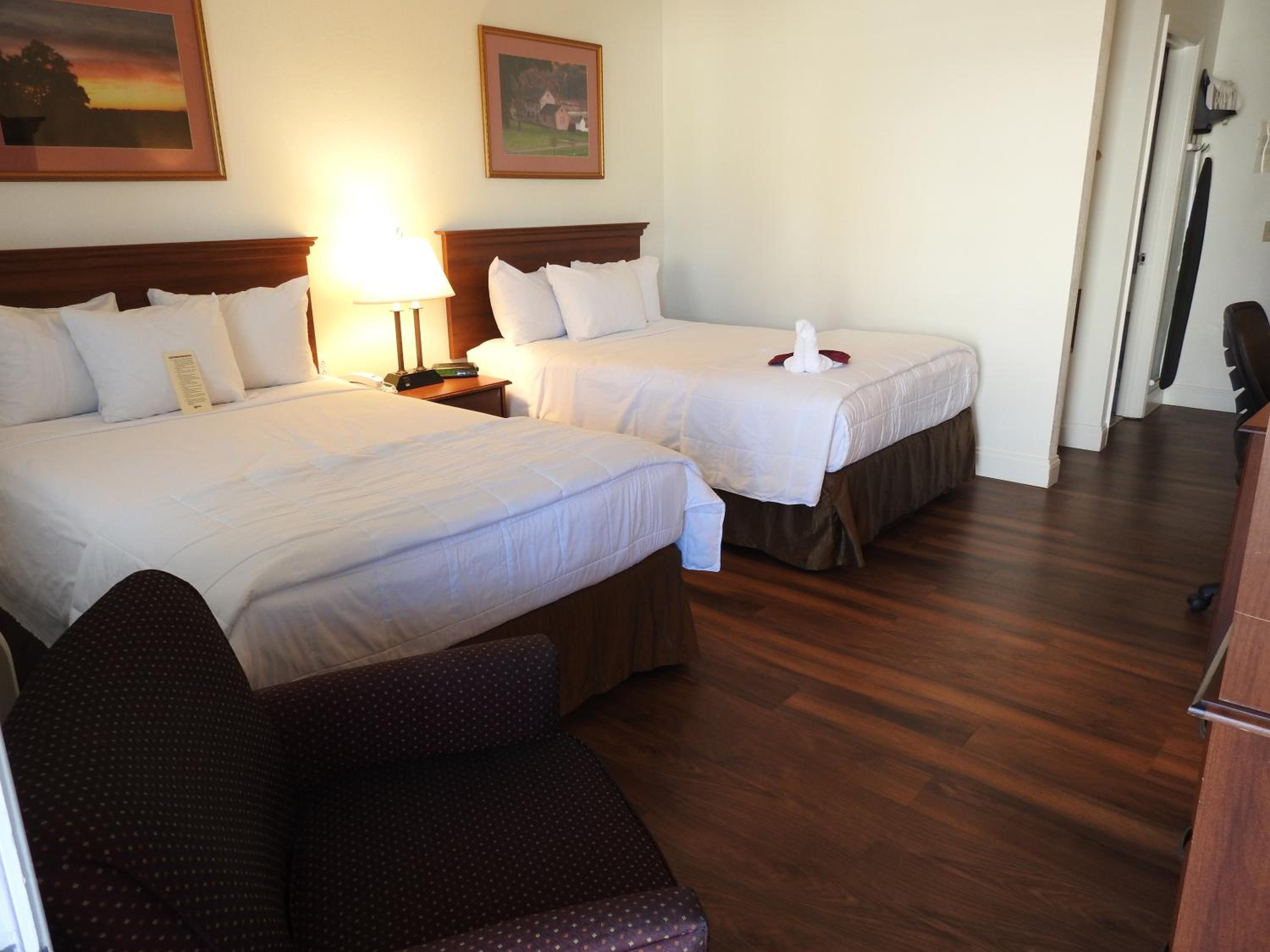 Standard Room with Two Double Beds- Pet Friendly - Photo 6