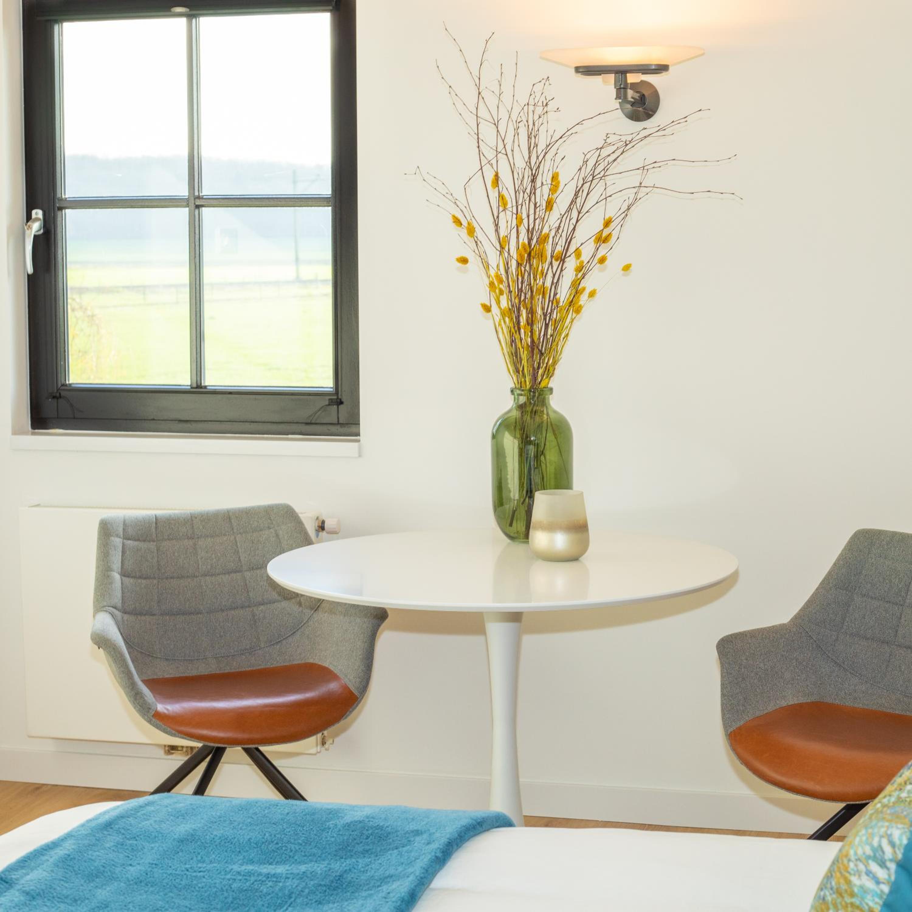 Deluxe Double or Twin Room photo 2